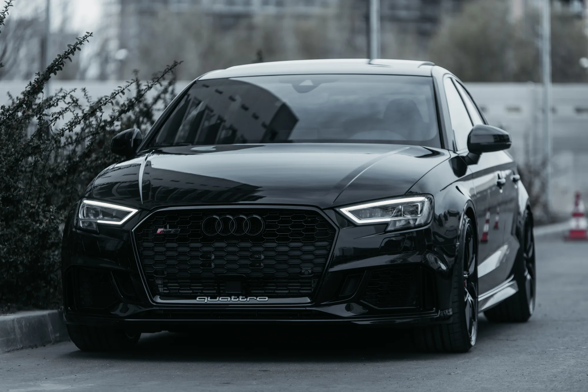 OZ Racing Leggera HLT on Audi RS 3 8V.1, photo 4