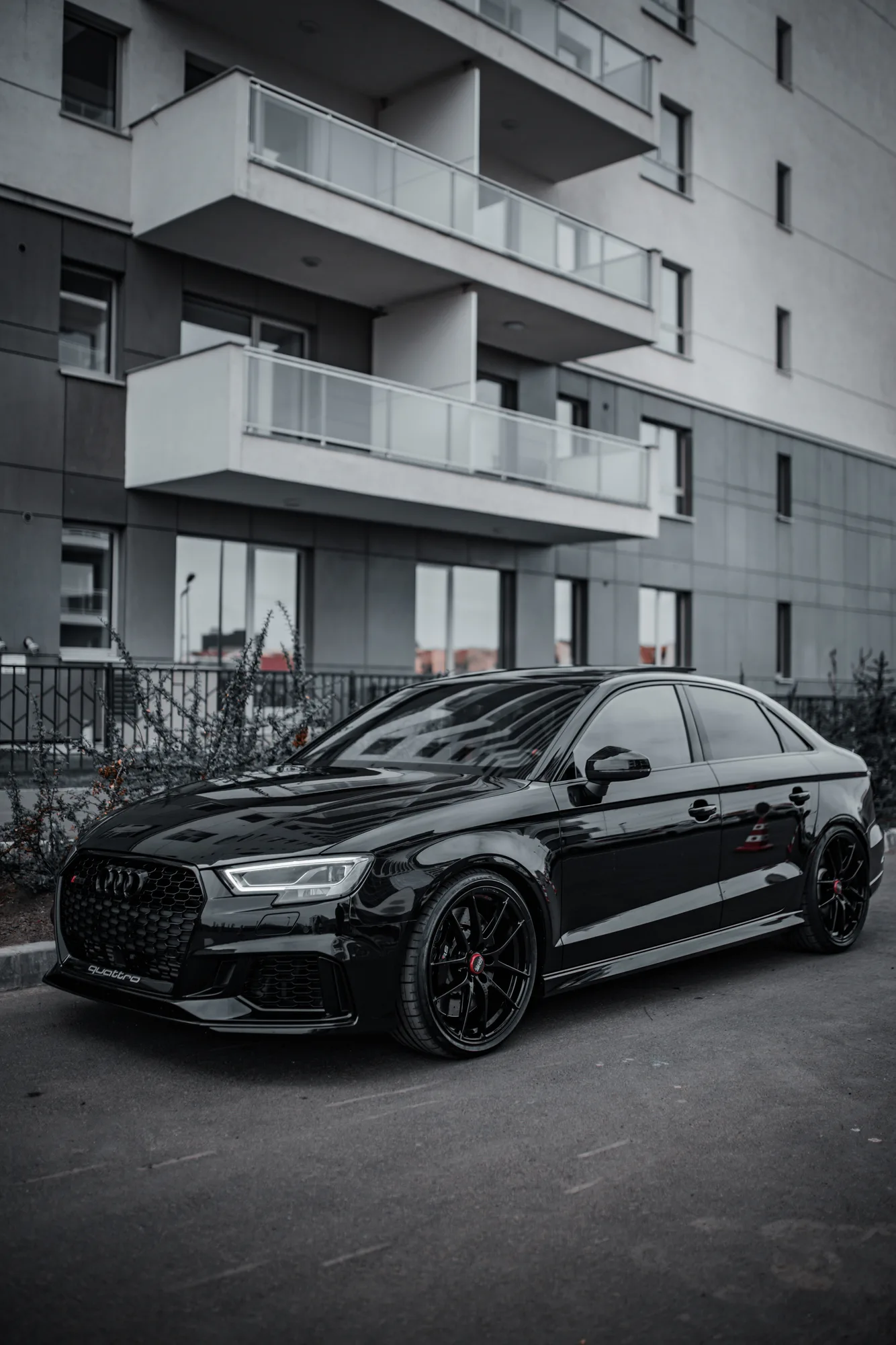 OZ Racing Leggera HLT on Audi RS 3 8V.1