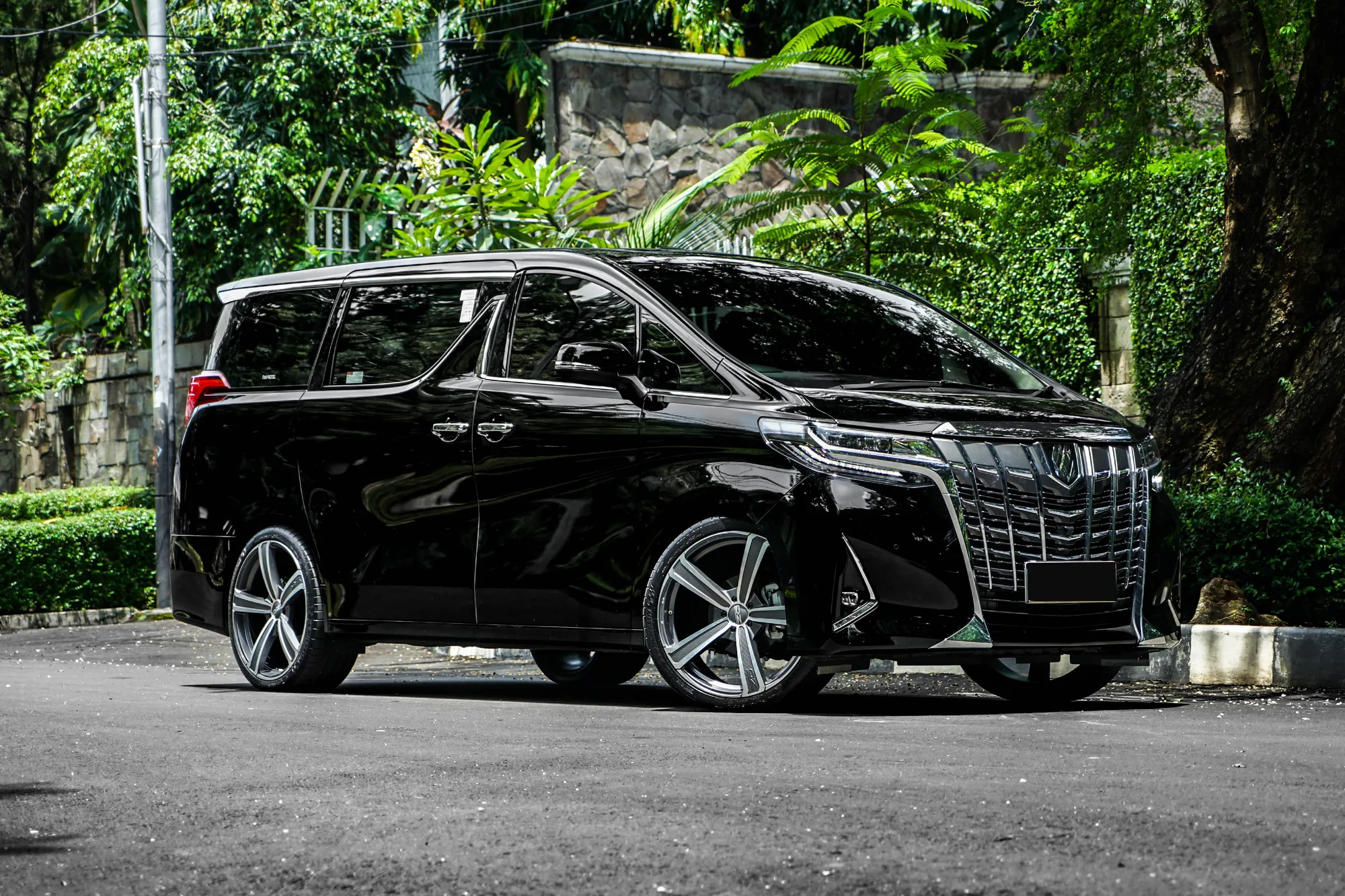 OZ Racing Montecarlo HLT on Toyota Alphard AH30.1, photo 2