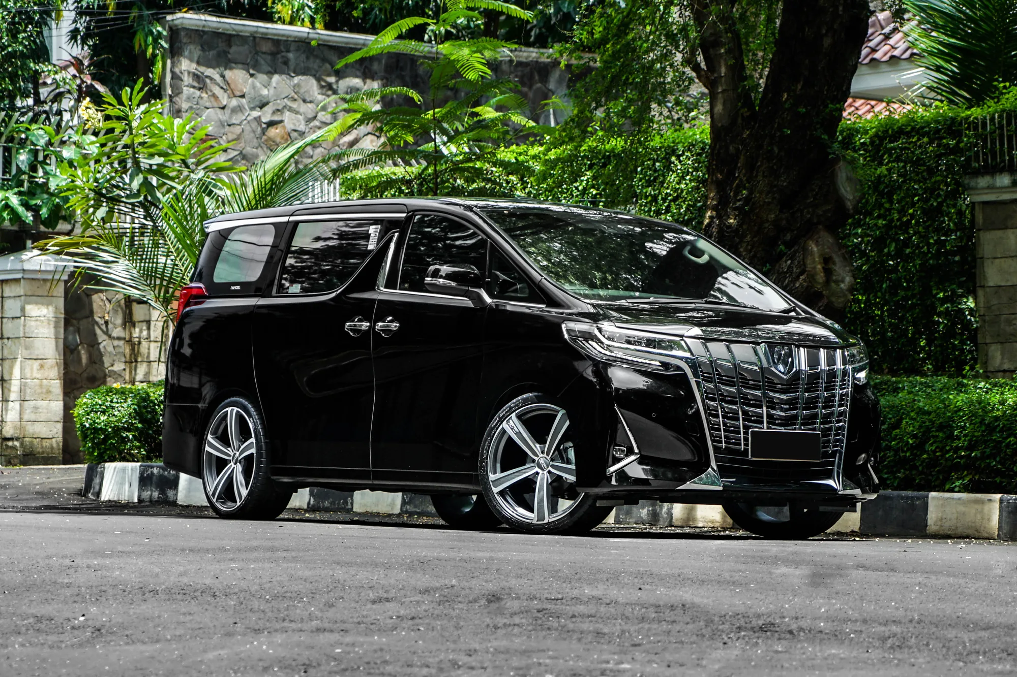 OZ Racing Montecarlo HLT on Toyota Alphard AH30.1, photo 9