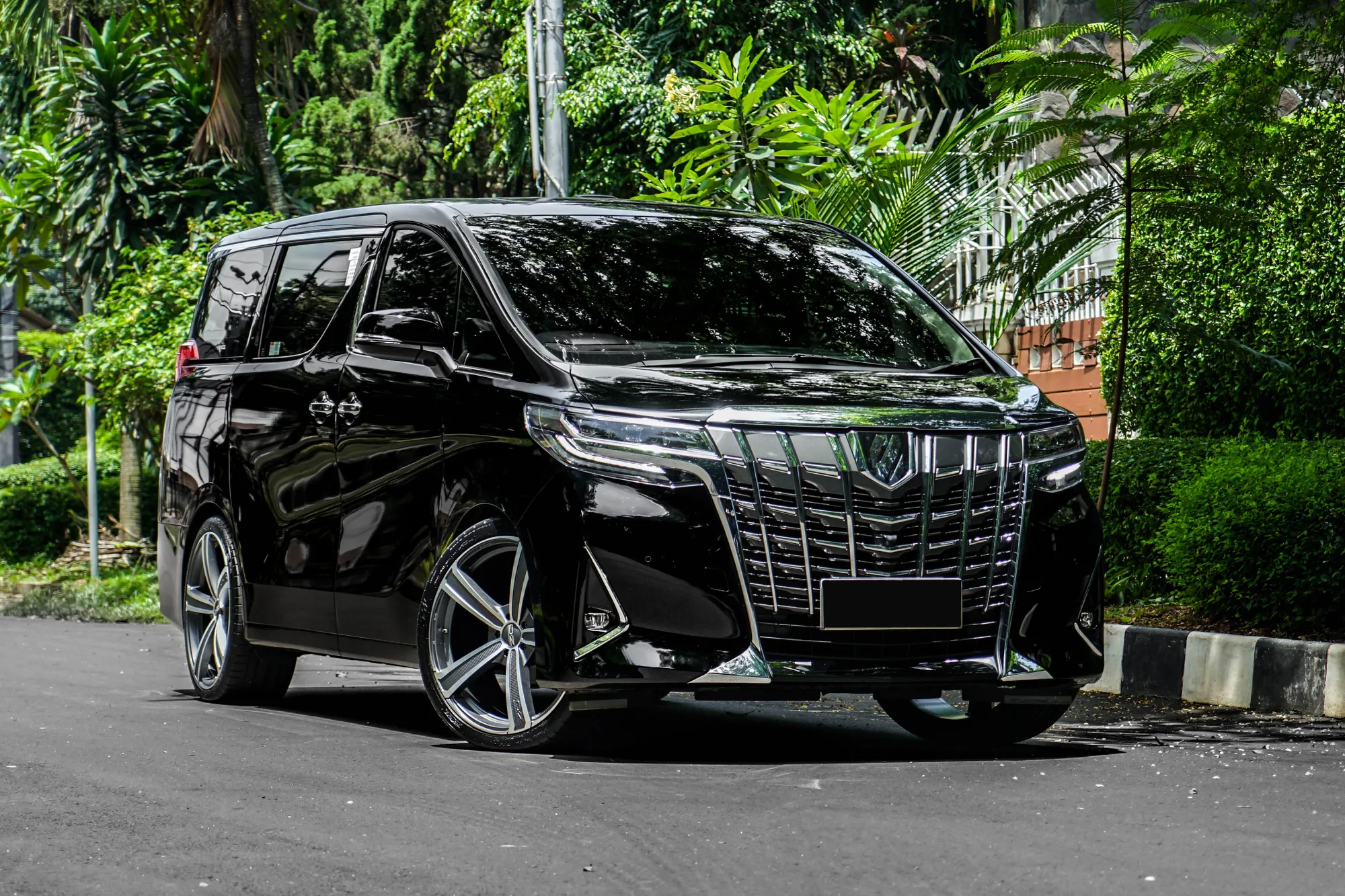 OZ Racing Montecarlo HLT on Toyota Alphard AH30.1, photo 7