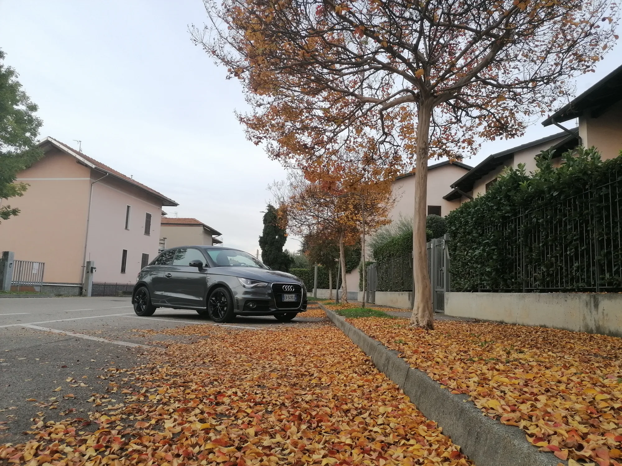 OZ Racing Msw 71 on Audi A1 8X.1