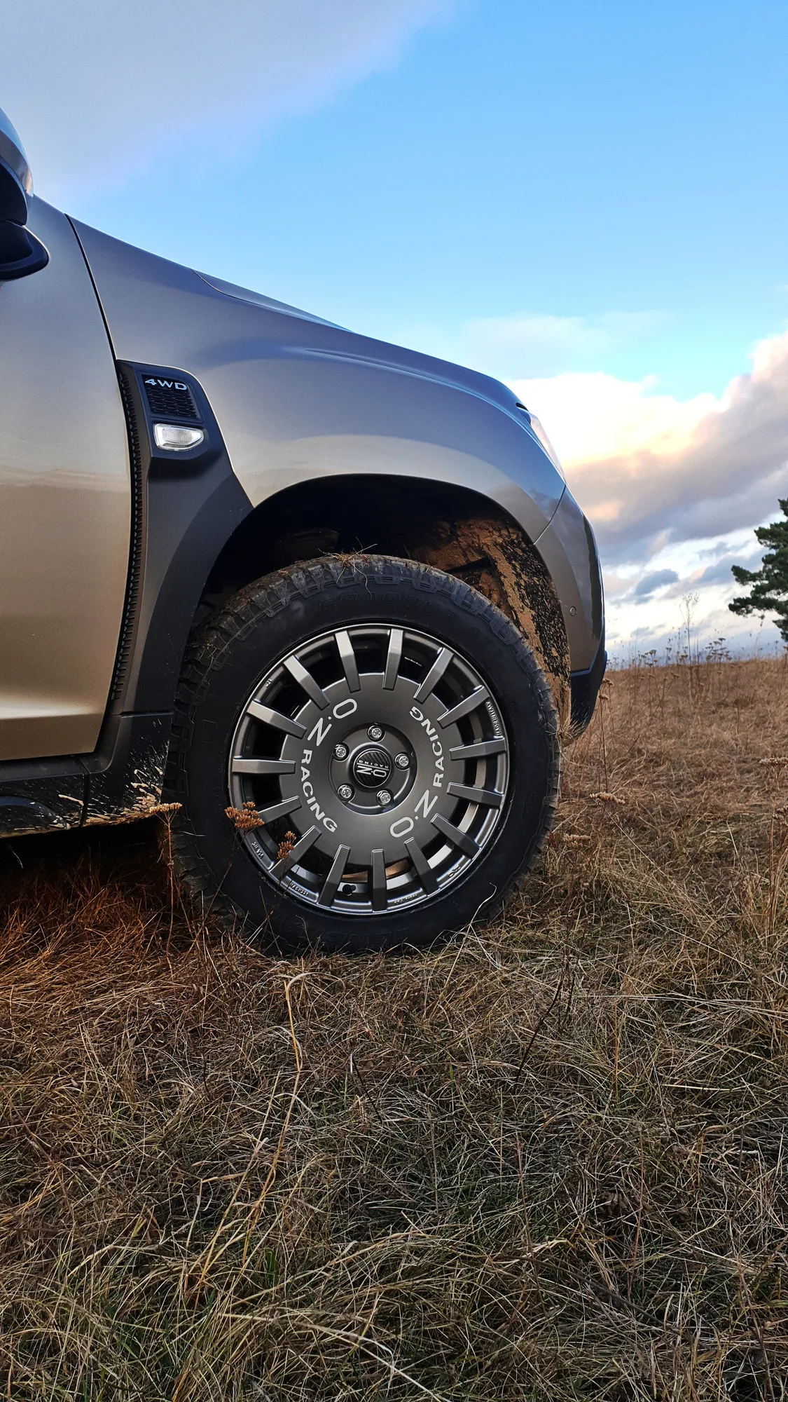 OZ Racing Rally Racing on Dacia Duster HM (2018-2024), photo 8