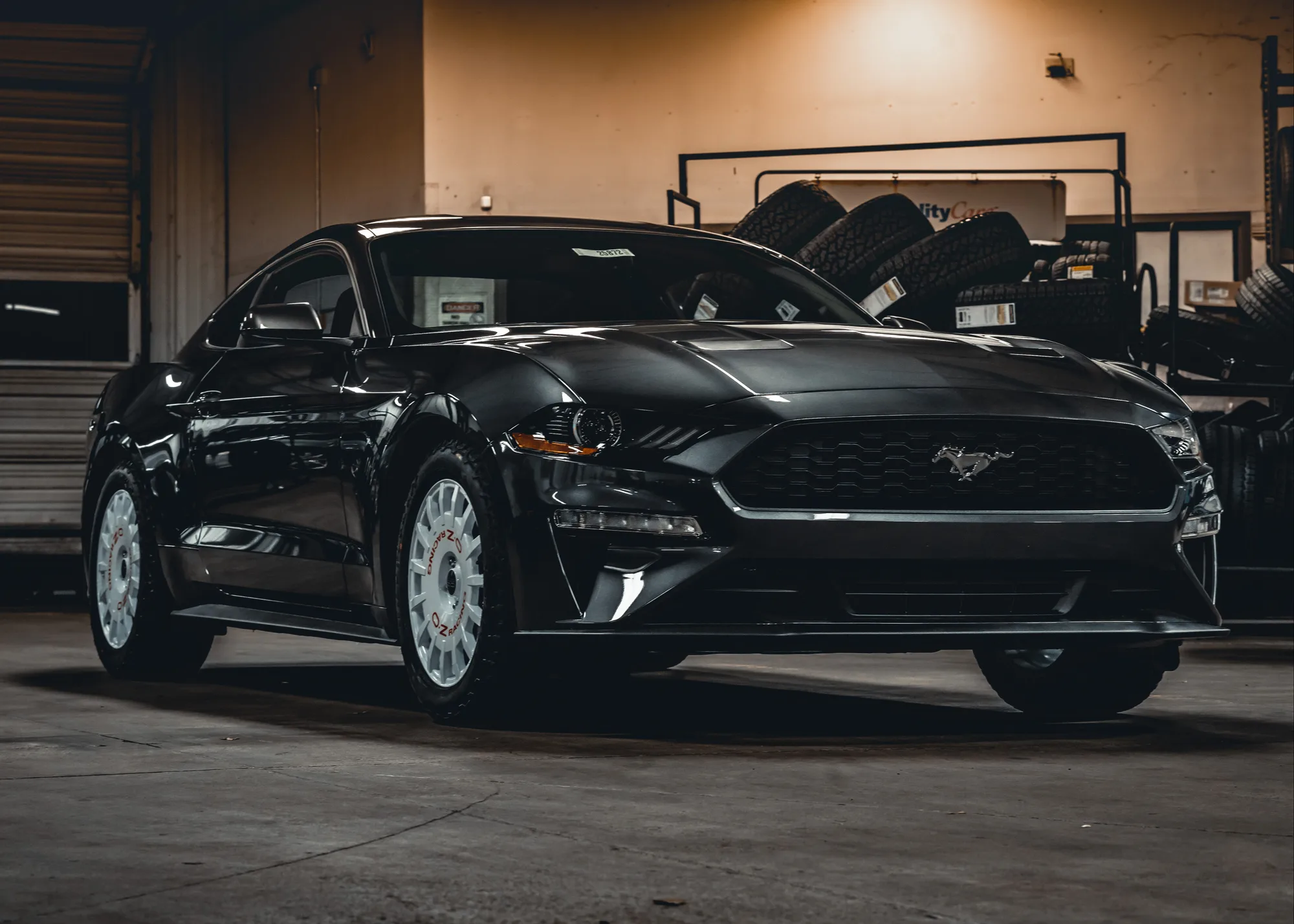 OZ Racing Rally Racing on Ford Mustang S550.1, photo 2