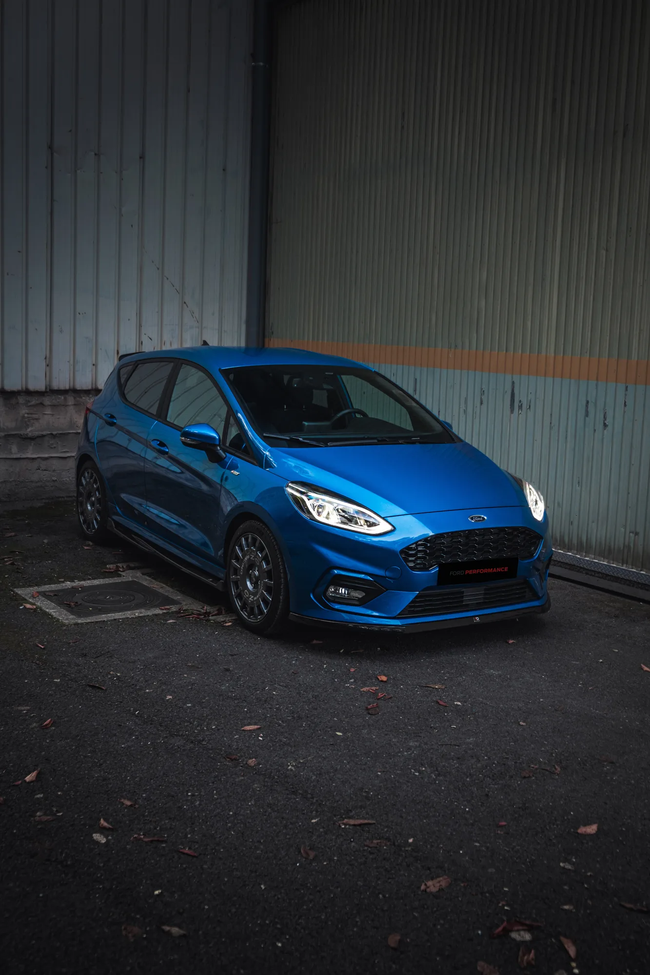 OZ Racing Rally Racing on Ford Fiesta Mk8 (2017-2023), photo 2
