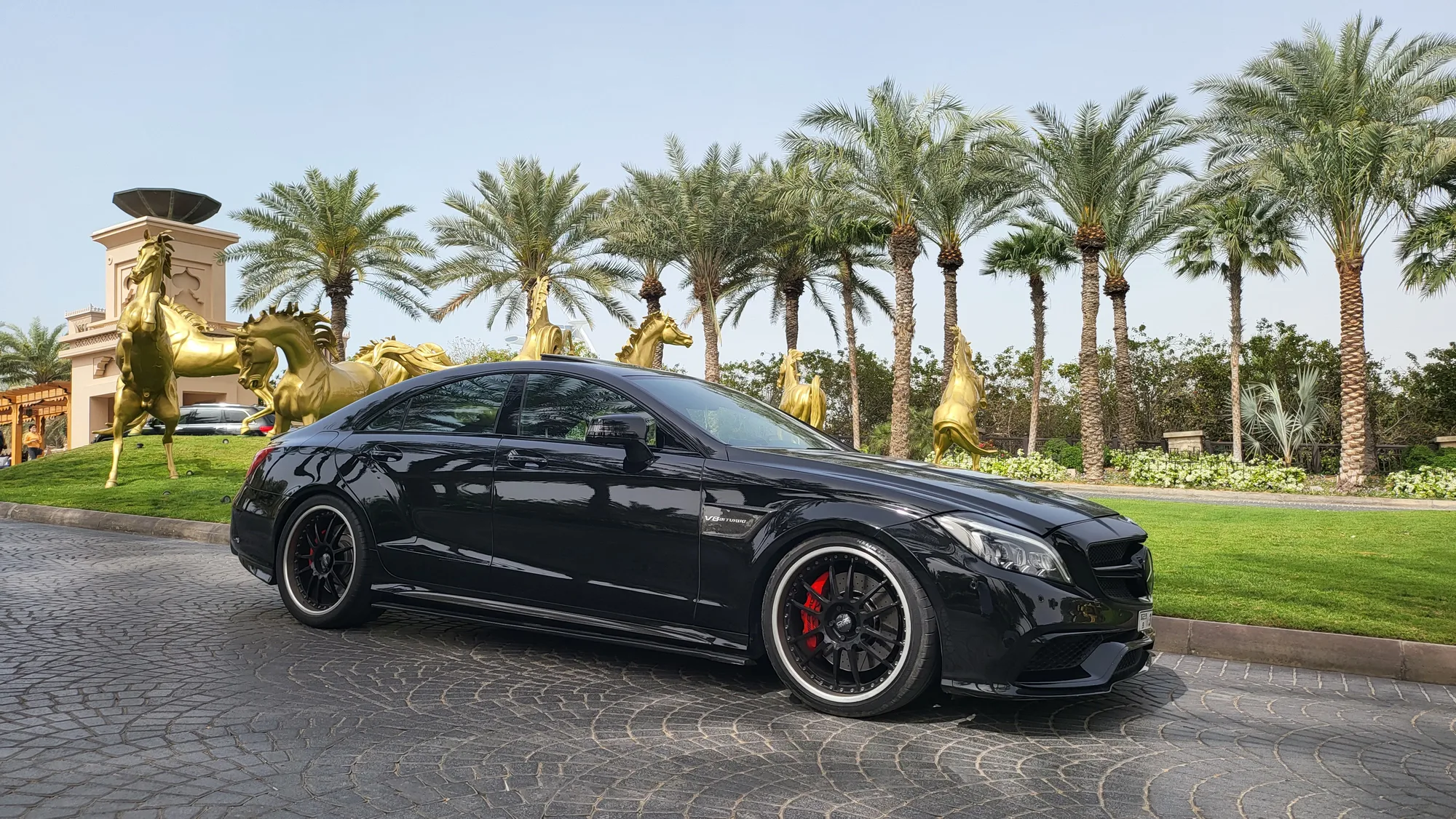 OZ Racing Superleggera III on Mercedes-Benz CLS C218.1