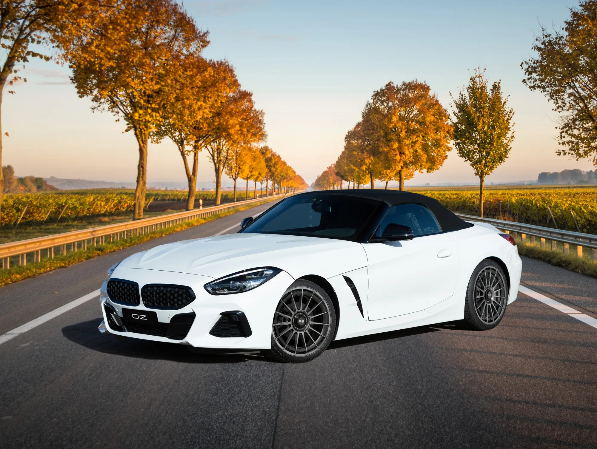 OZ Racing Superturismo AERO on BMW Z4 G29.1
