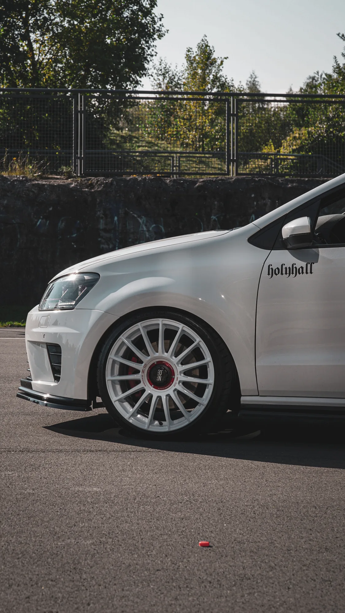 OZ Racing Superturismo Evoluzione WRC on Volkswagen Polo Mk5 (6R), photo 2