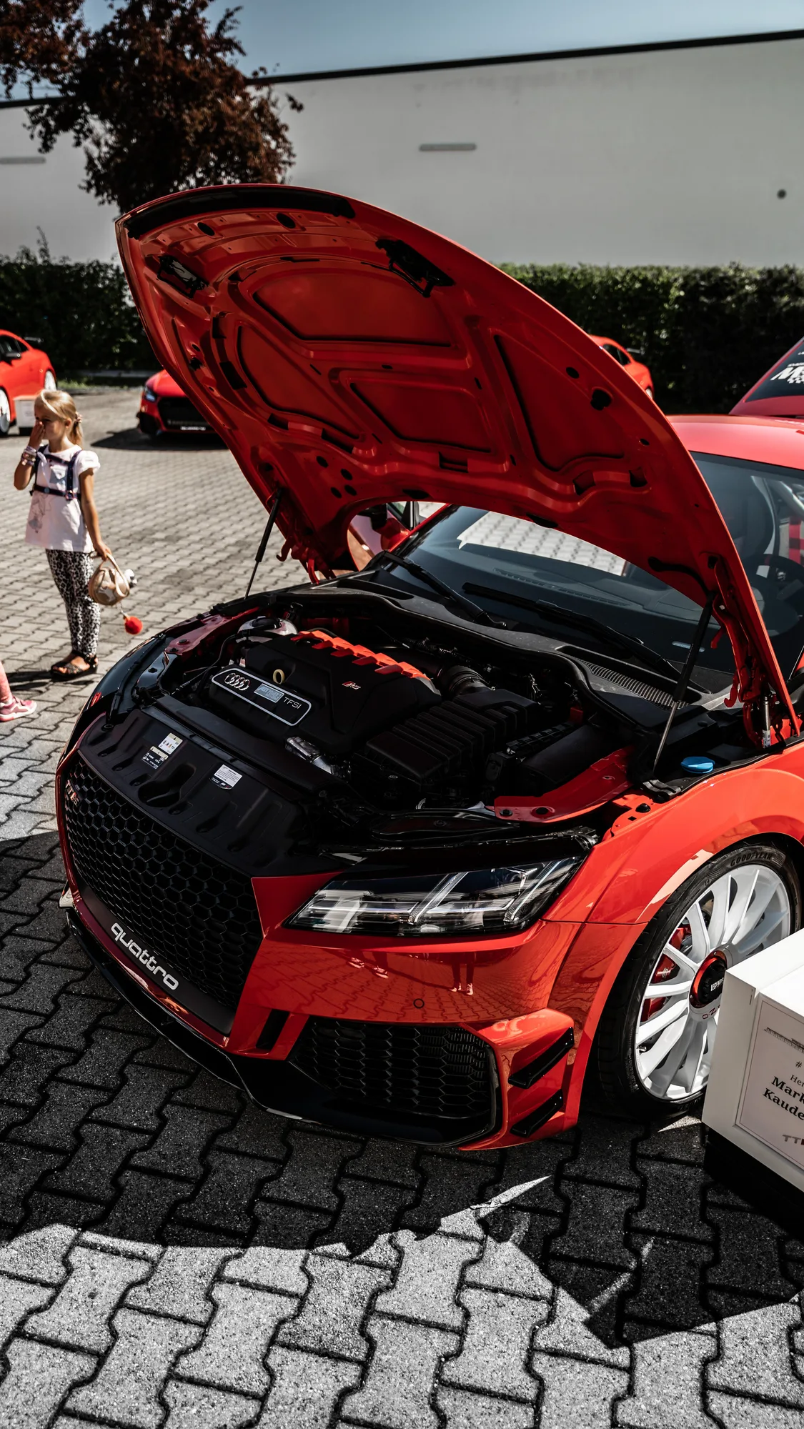 OZ Racing Superturismo Evoluzione WRC on Audi TT RS 8J.1, photo 12