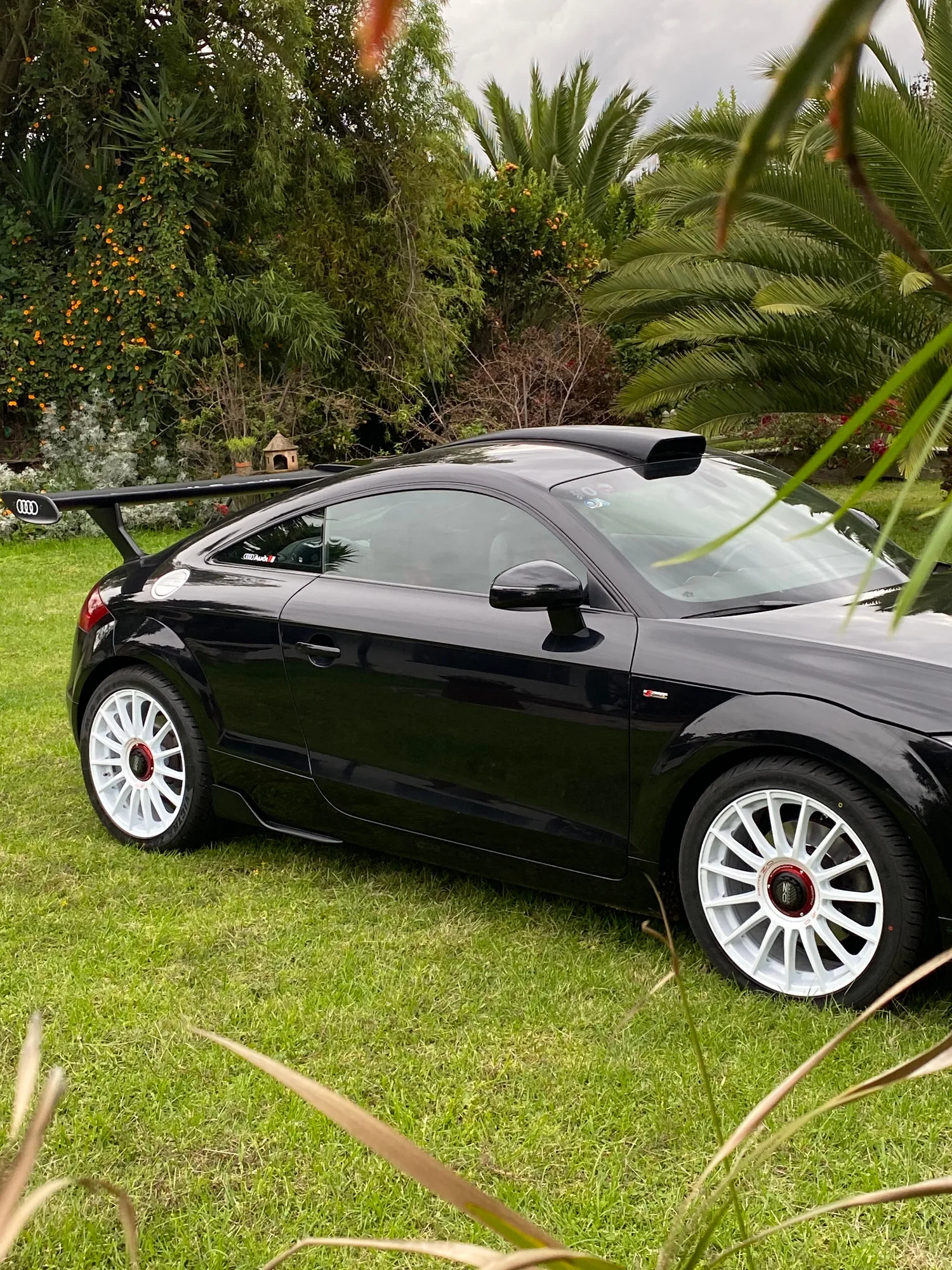 OZ Racing Superturismo Evoluzione WRC on Audi TT RS 8J.1, photo 5