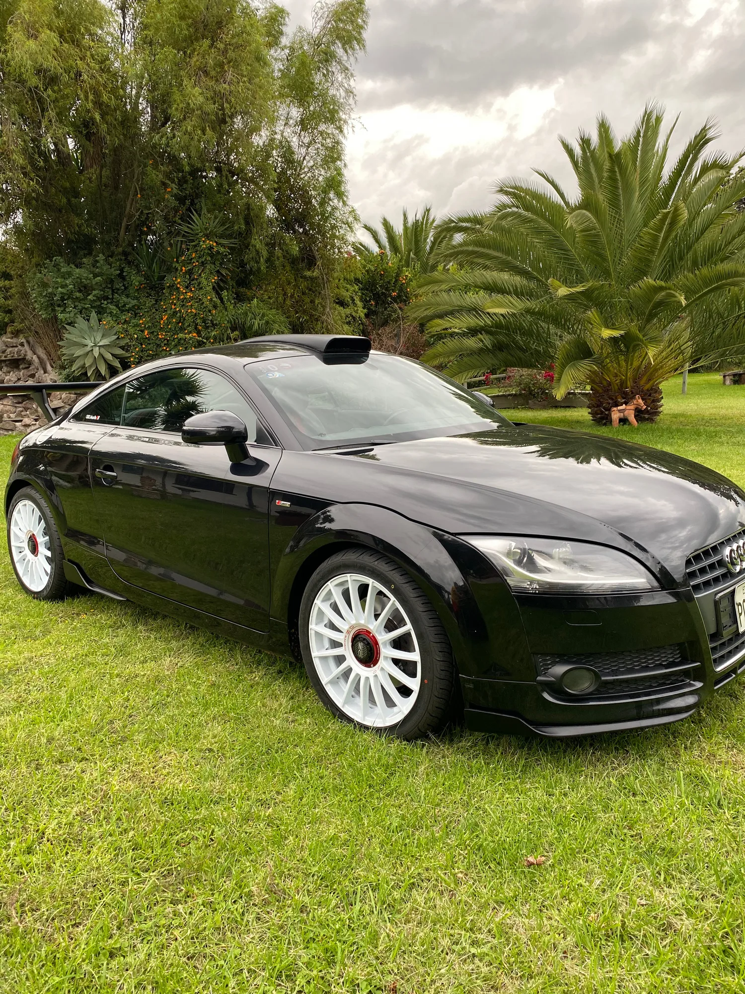 OZ Racing Superturismo Evoluzione WRC on Audi TT RS 8J.1, photo 3