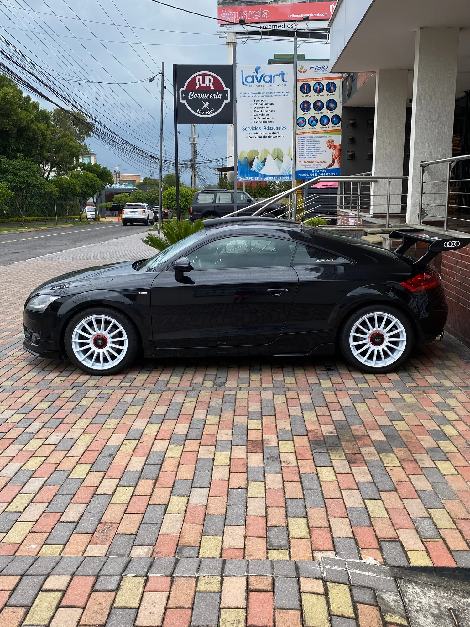 OZ Racing Superturismo Evoluzione WRC on Audi TT RS 8J.1