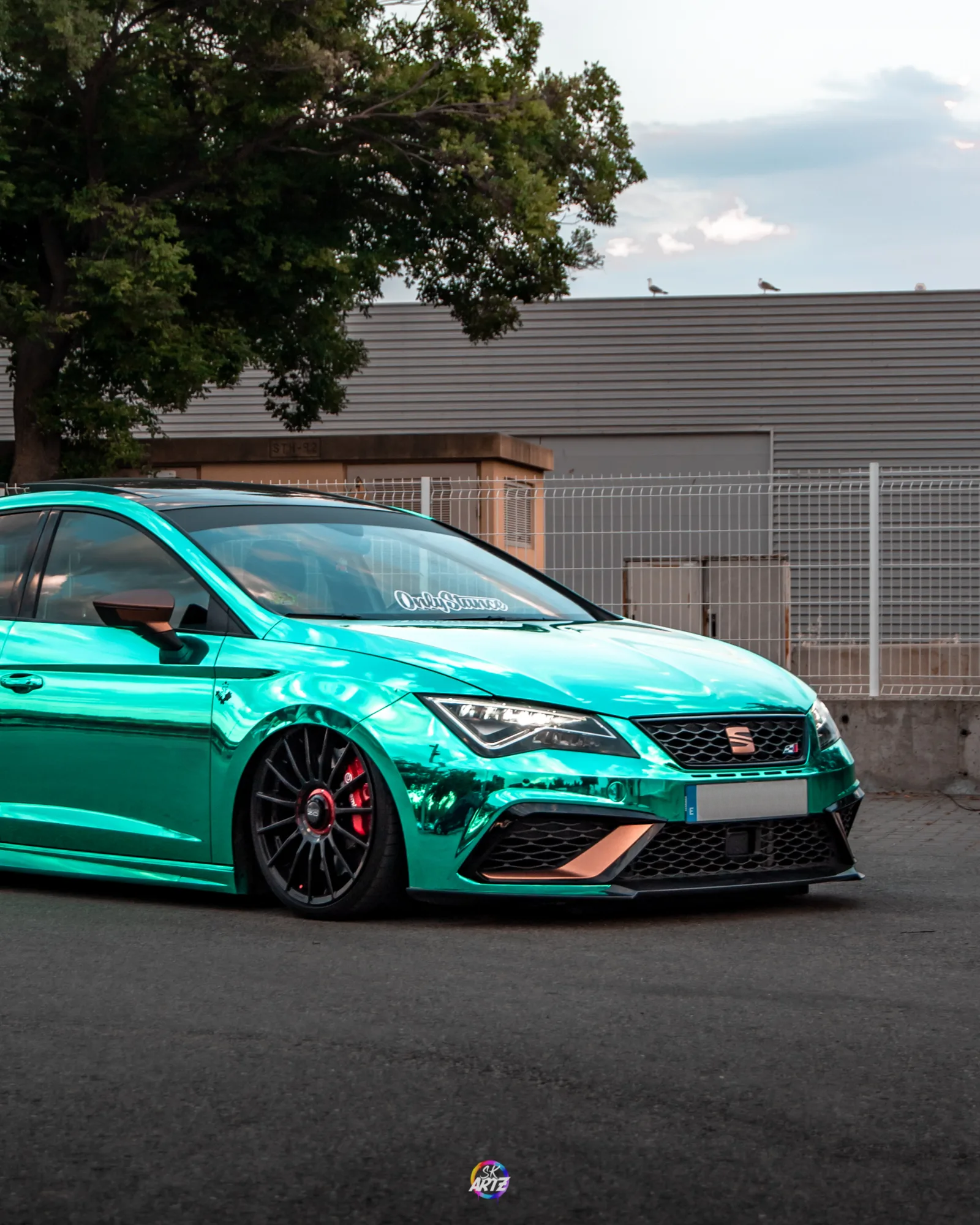 OZ Racing Superturismo Evoluzione on Seat Leon Cupra 3rd gen (5F), photo 4