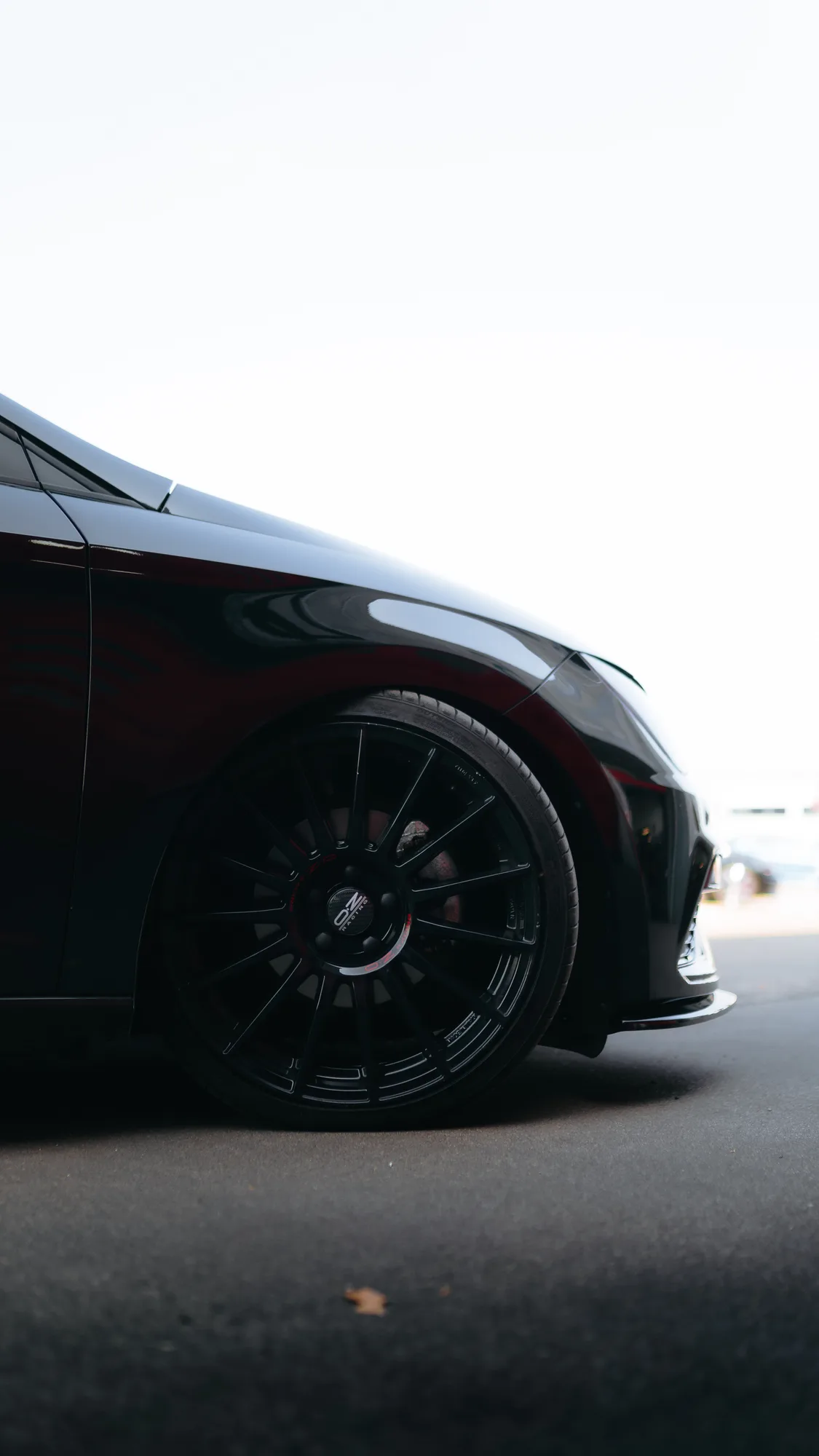 OZ Racing Superturismo Evoluzione on Seat Leon 3rd gen (5F), photo 2