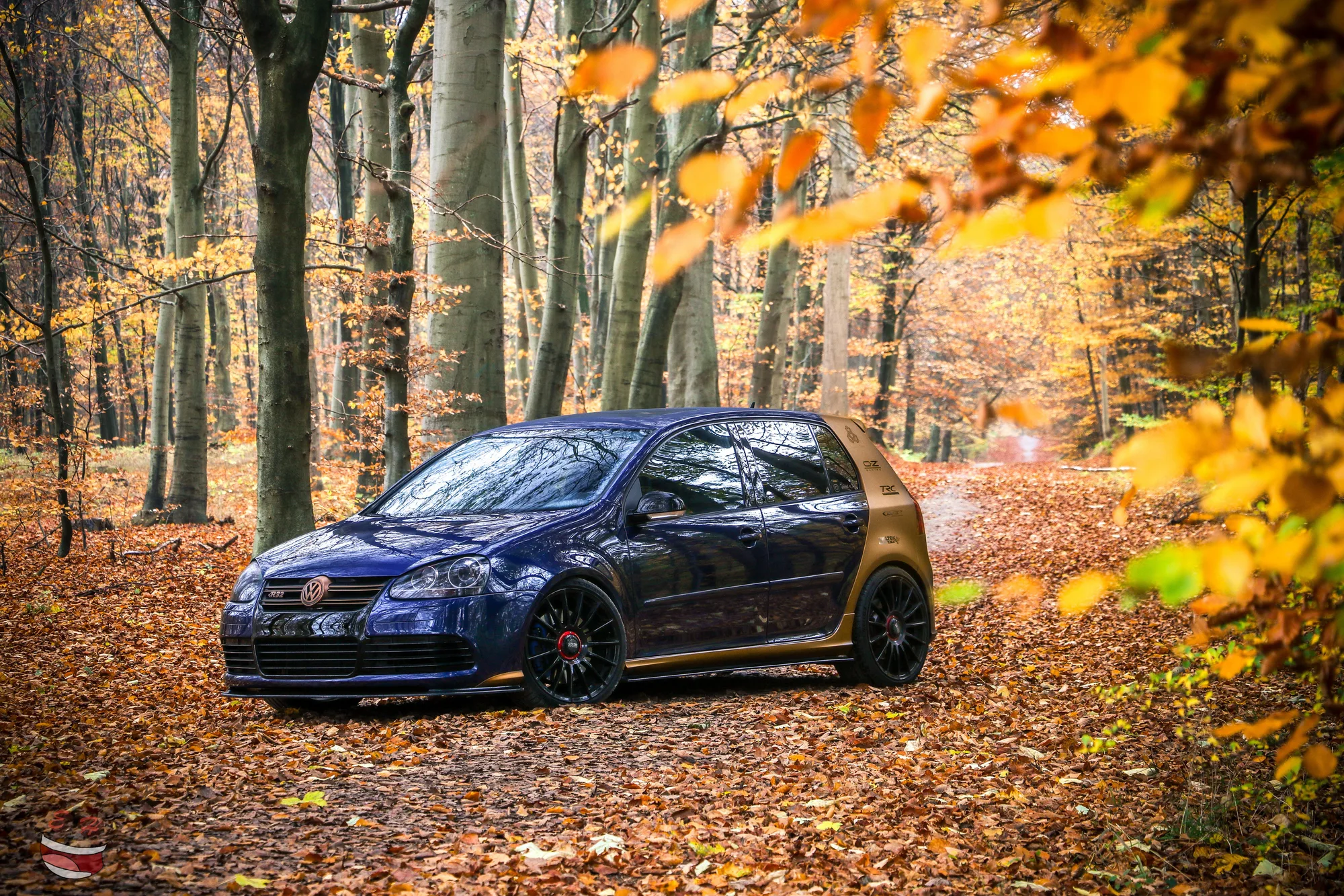 OZ Racing Superturismo Evoluzione on Volkswagen Golf Mk5 (Typ 1K), photo 6