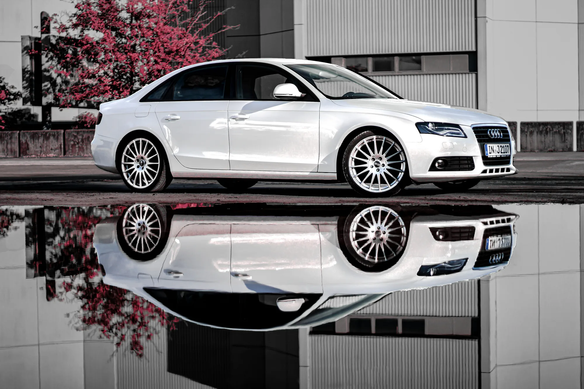 OZ Racing Superturismo GT on Audi A4 B8.1, photo 2