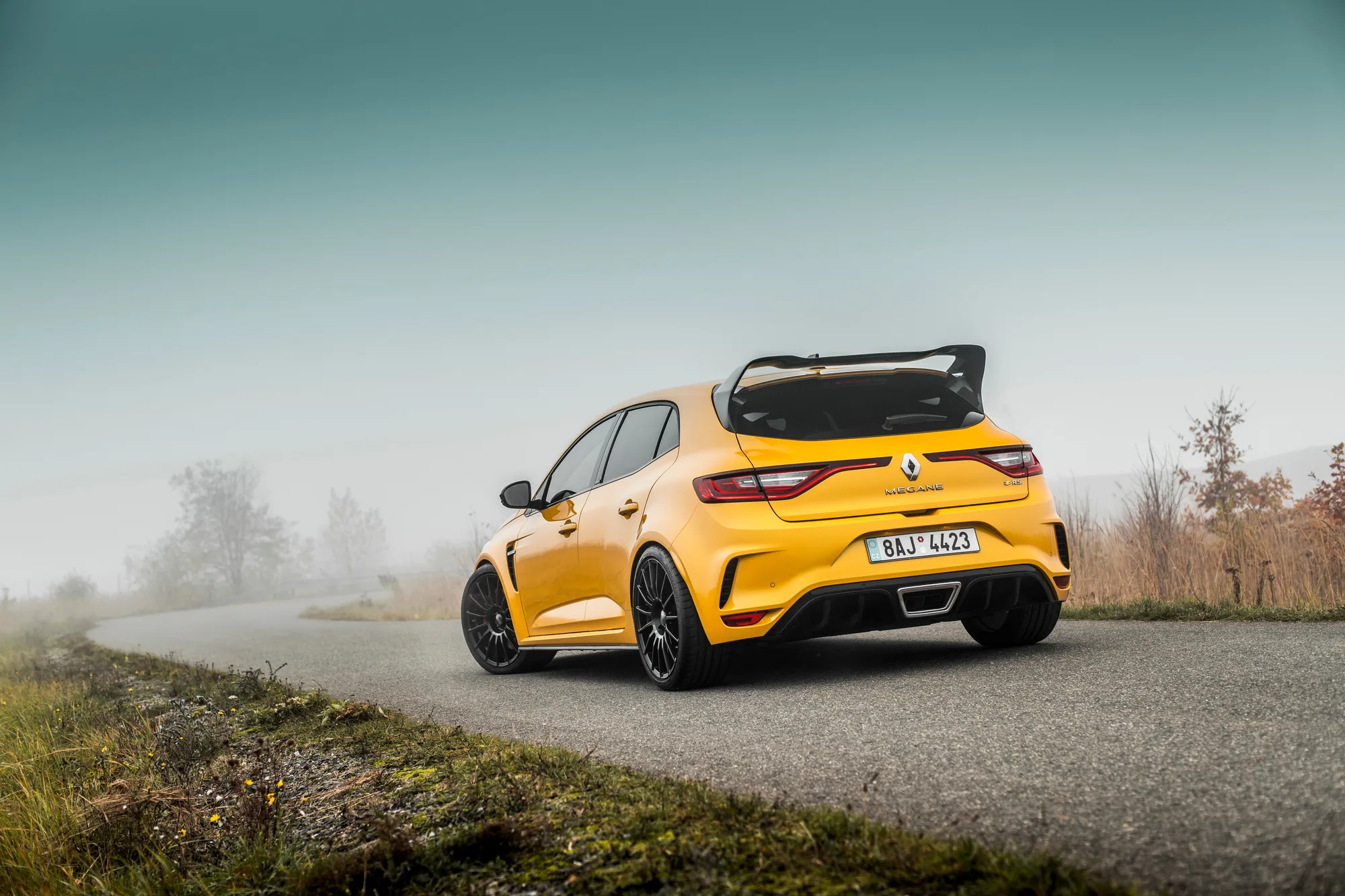 OZ Racing Superturismo LM on Renault Megane IV, photo 2