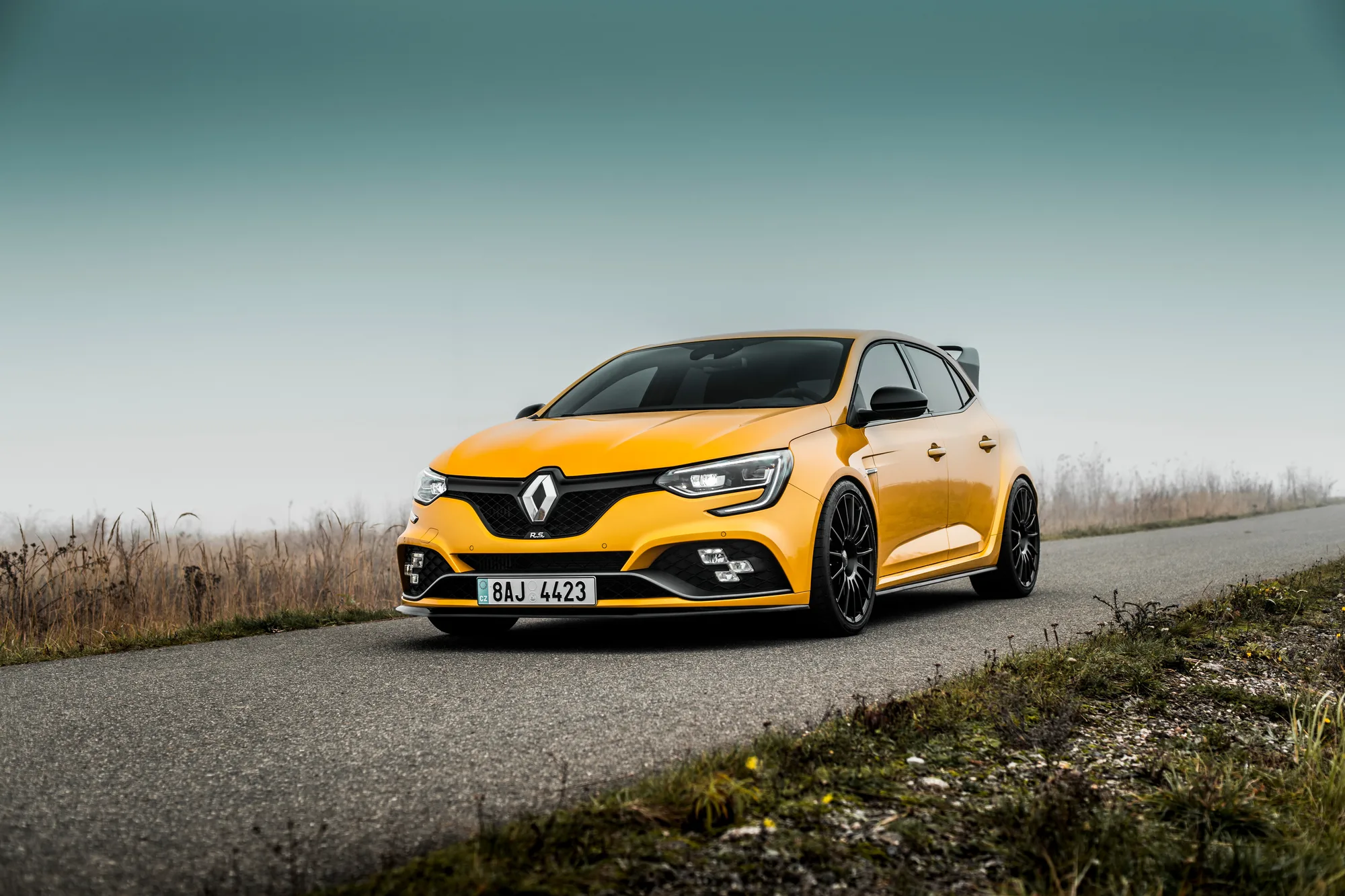 OZ Racing Superturismo LM on Renault Megane IV