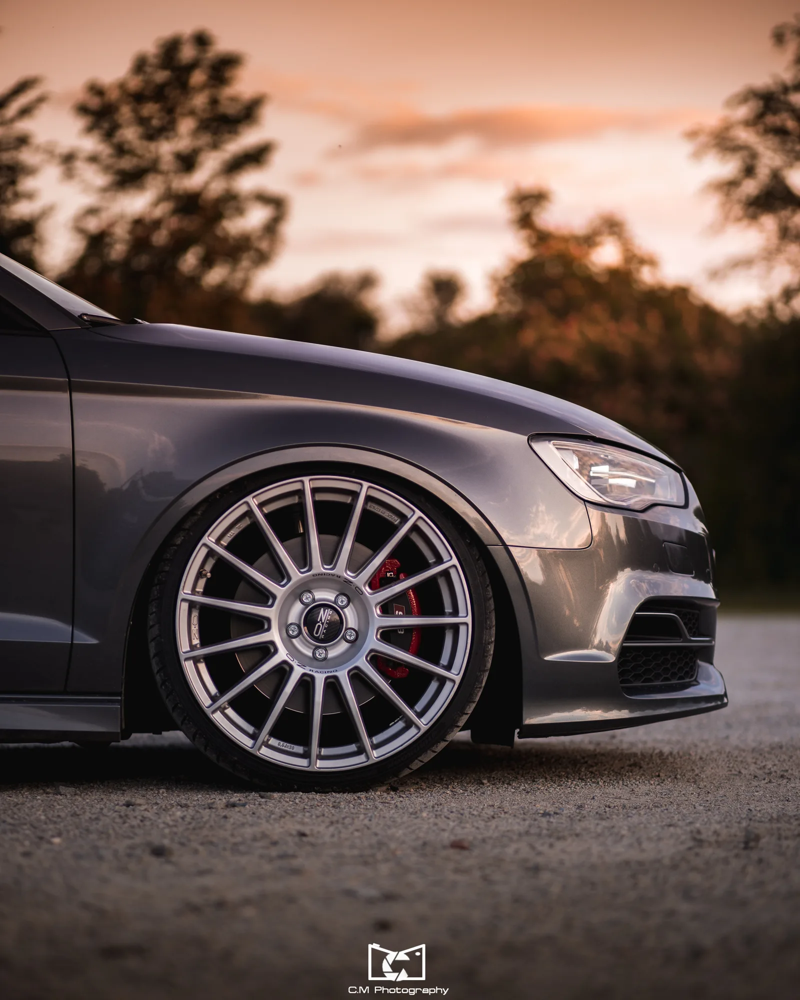 OZ Racing Superturismo LM on Audi A3 8V.1, photo 3