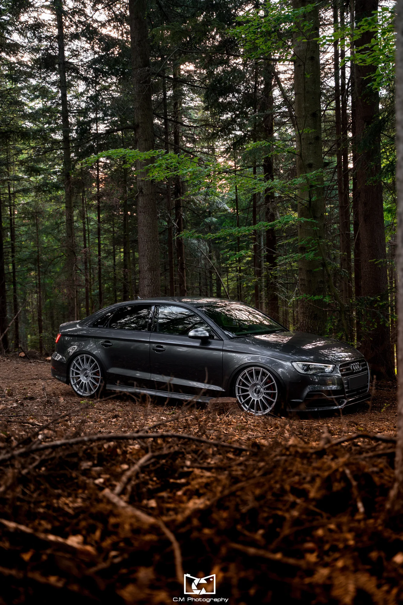 OZ Racing Superturismo LM on Audi A3 8V.1, photo 6
