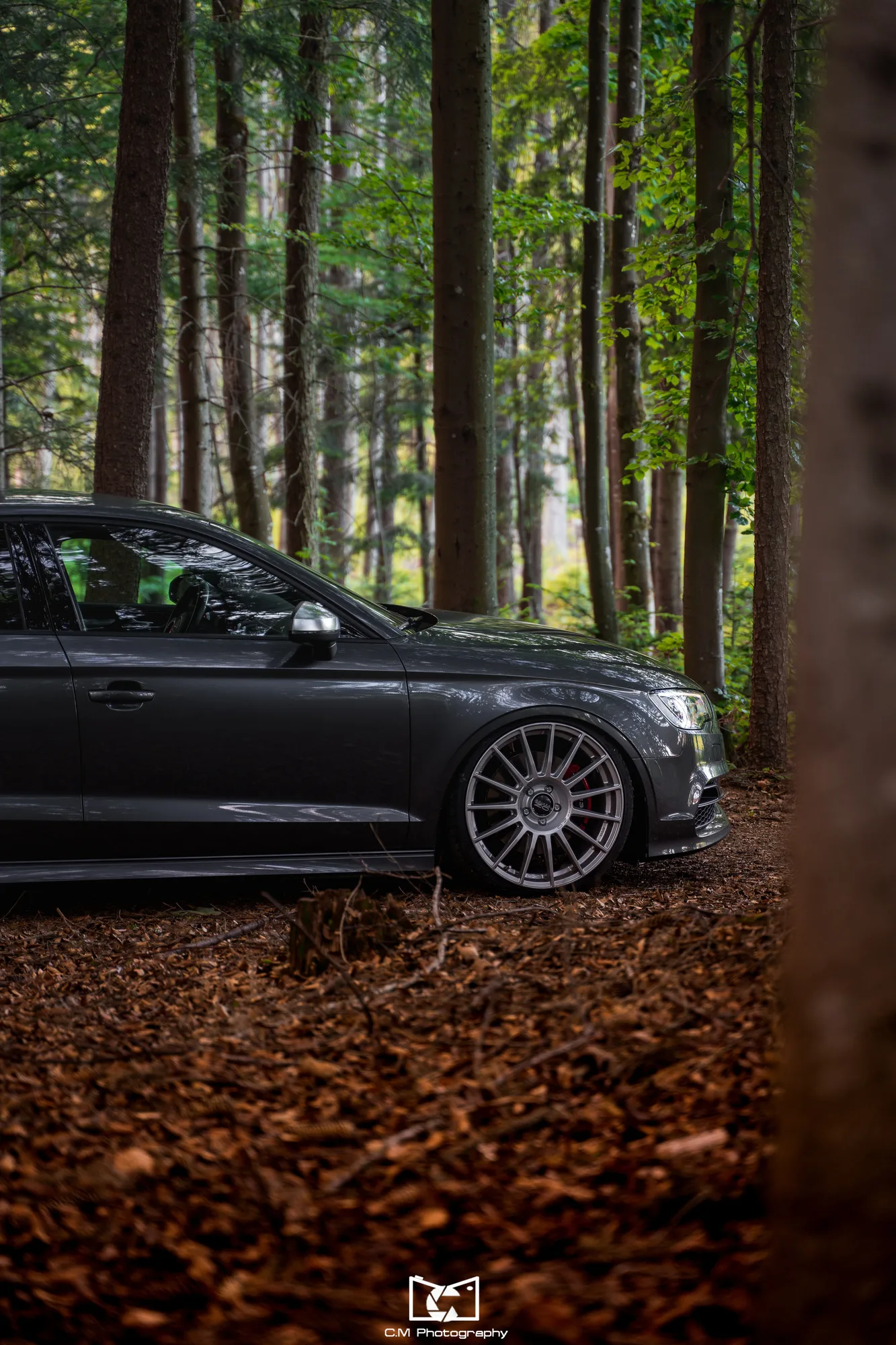 OZ Racing Superturismo LM on Audi A3 8V.1, photo 2
