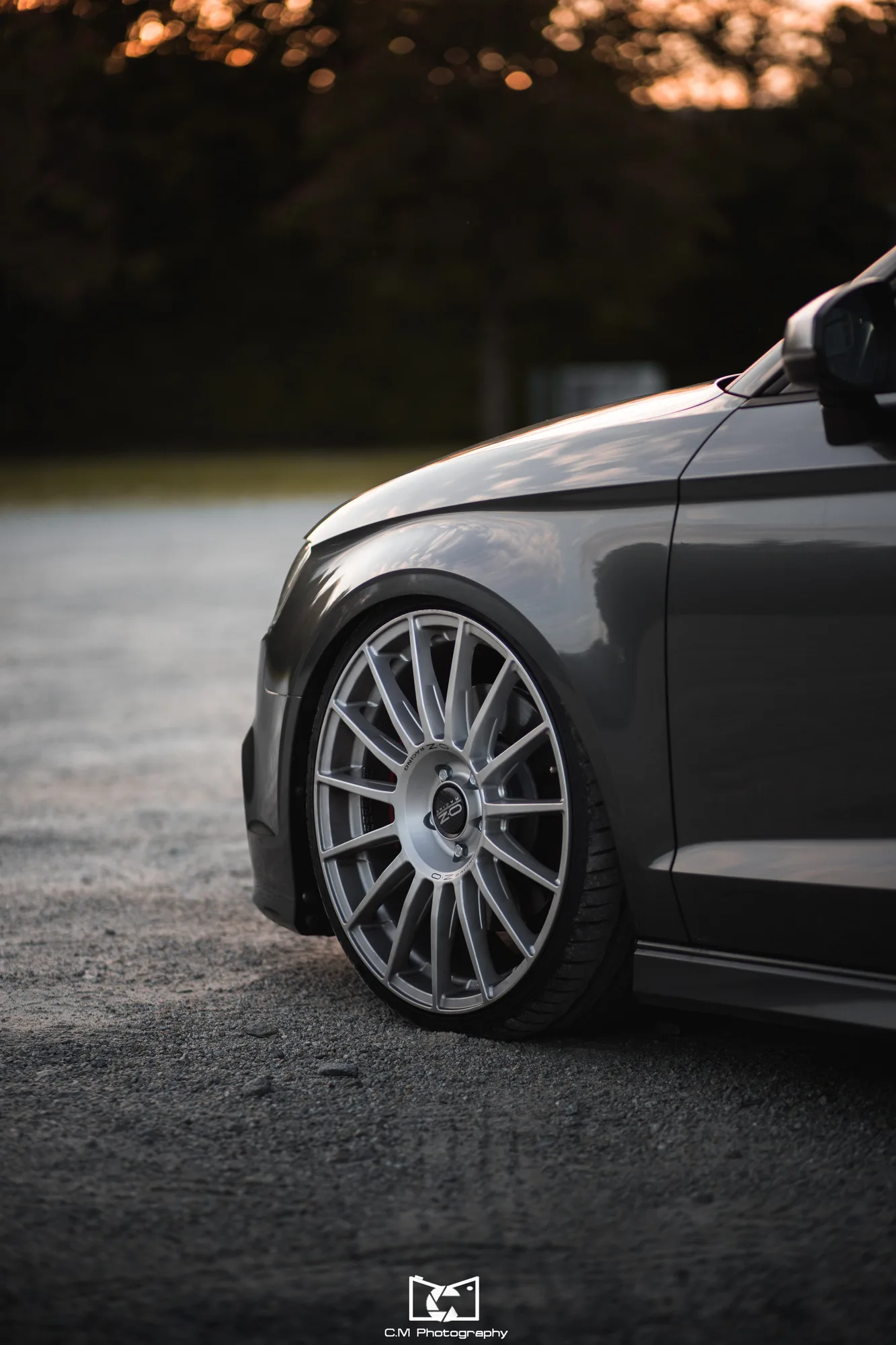 OZ Racing Superturismo LM on Audi A3 8V.1, photo 4