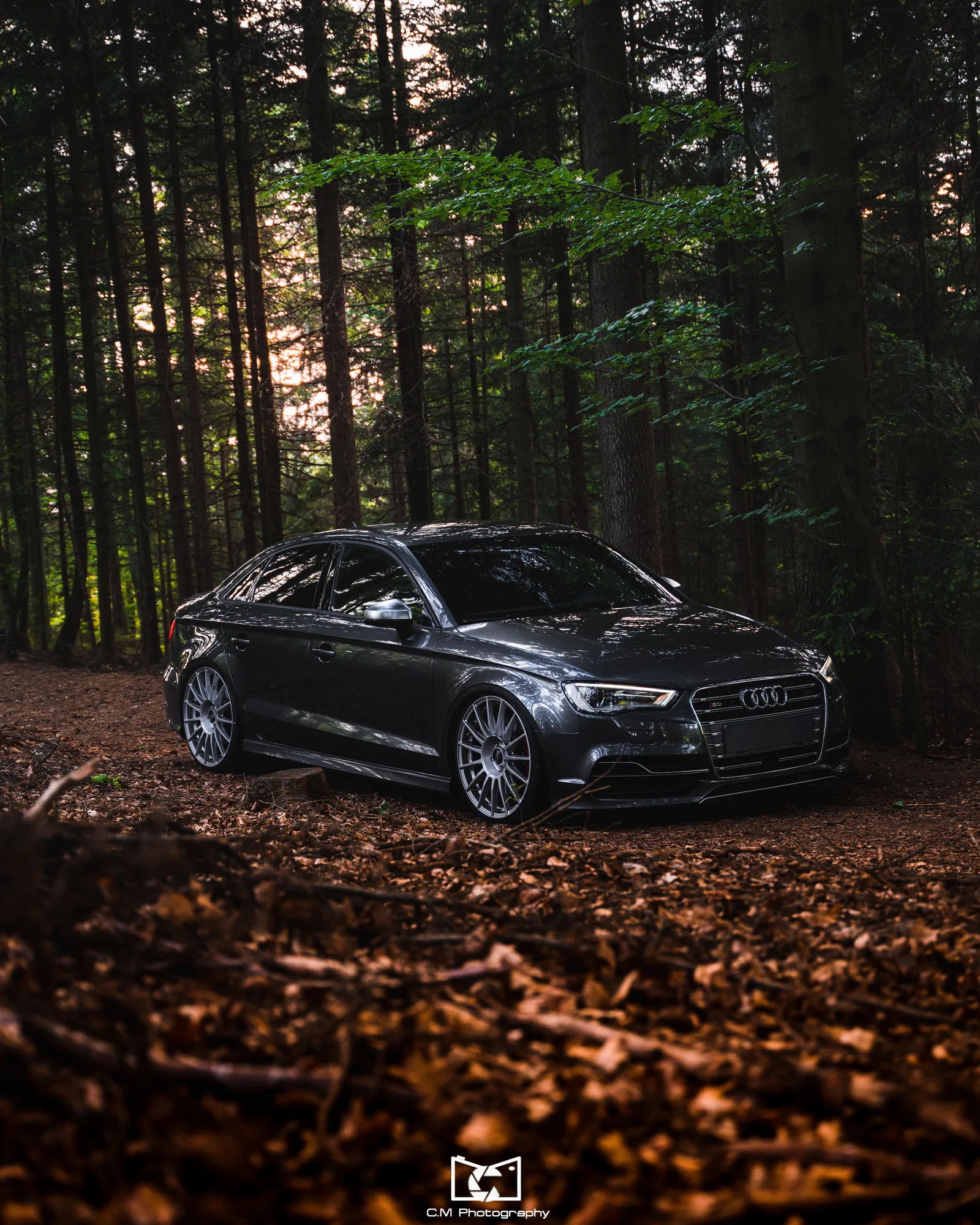OZ Racing Superturismo LM on Audi A3 8V.1, photo 5