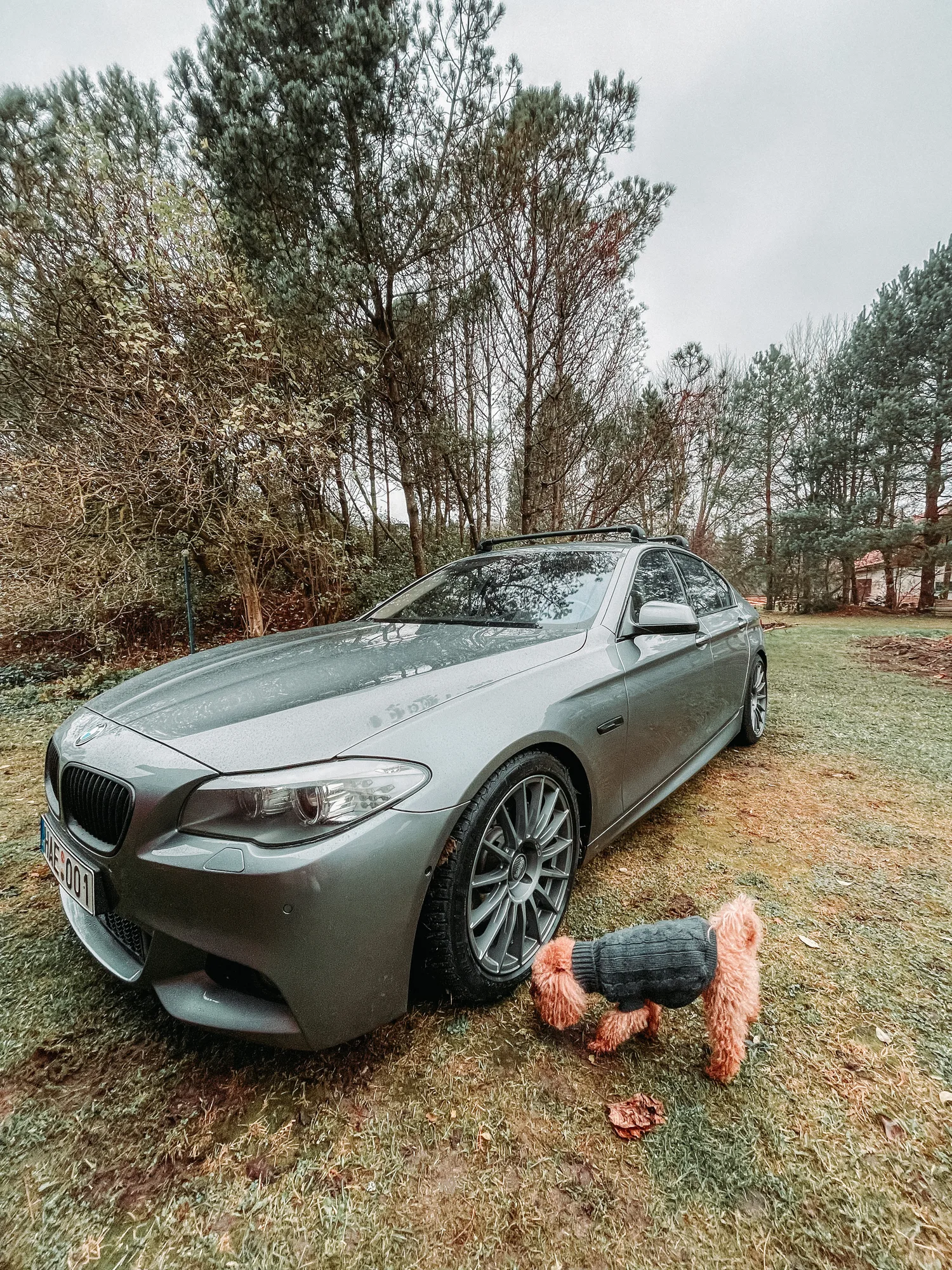 OZ Racing Superturismo LM on BMW 5 Series F10.1, photo 9
