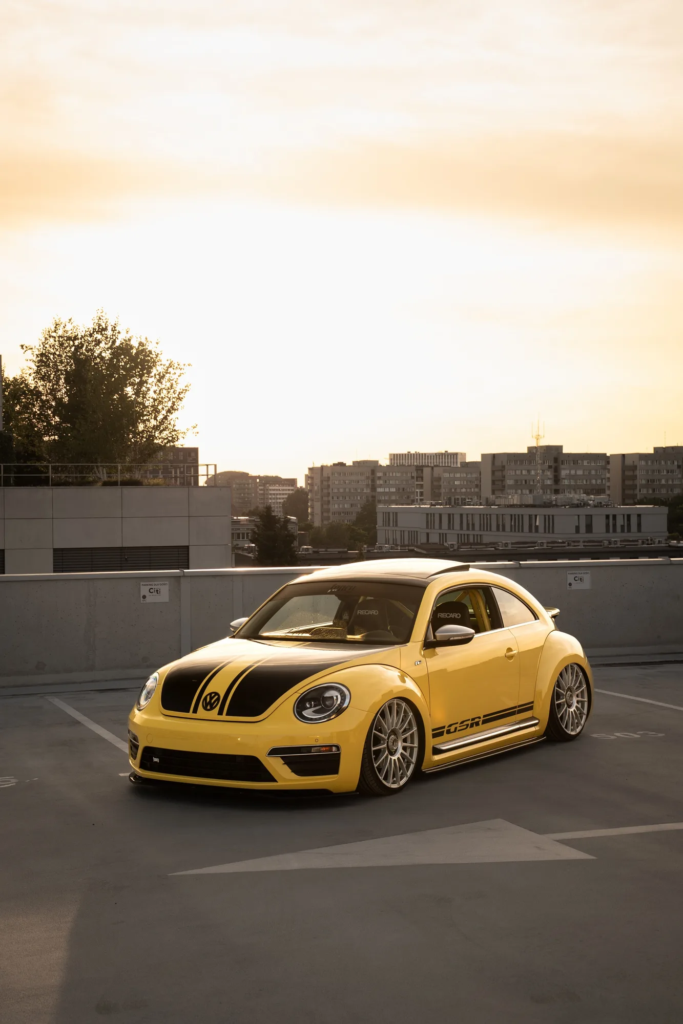OZ Racing Superturismo LM on Volkswagen Beetle (A5, Typ 5C)