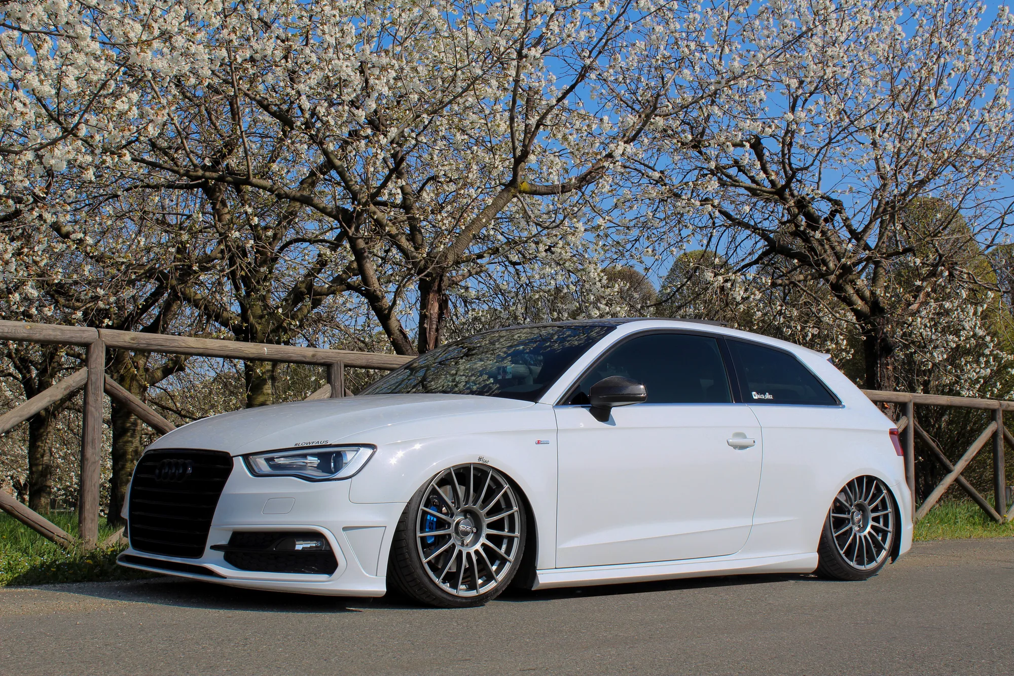 OZ Racing Superturismo LM on Audi A3 8V.2
