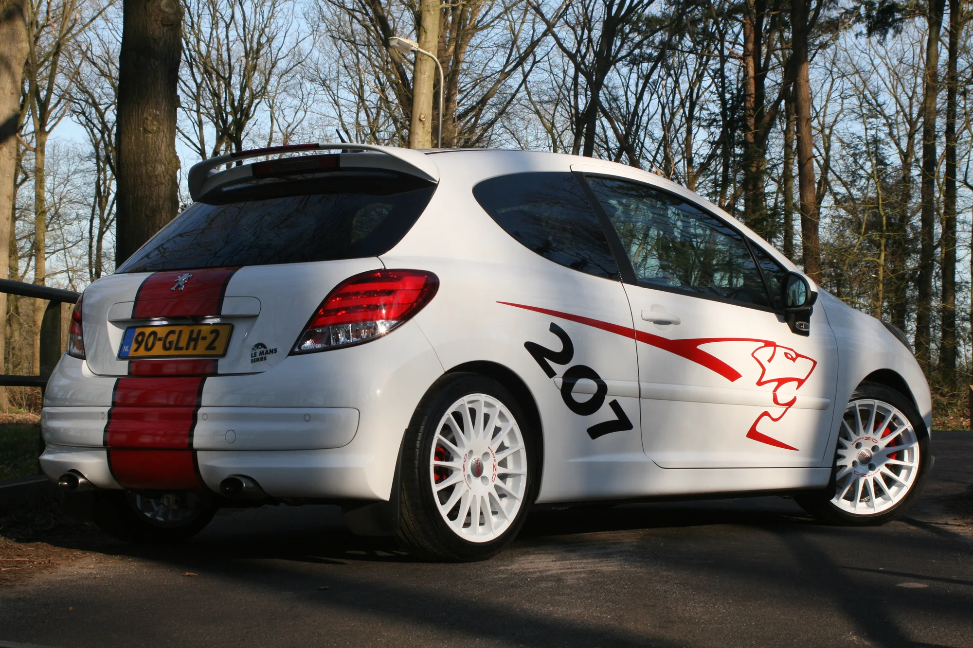 OZ Racing Superturismo WRC on Peugeot 207 1st gen, photo 5