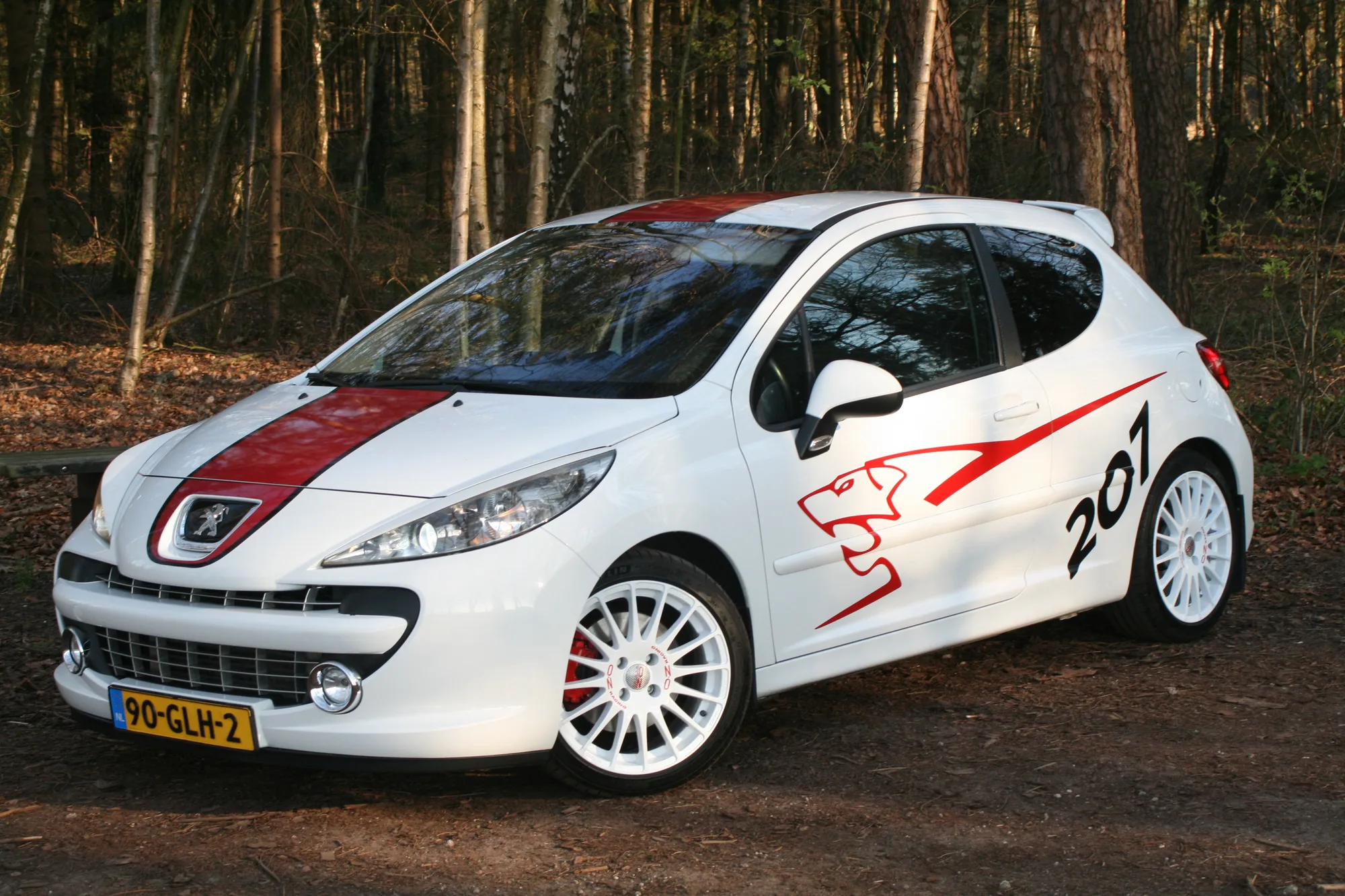 OZ Racing Superturismo WRC on Peugeot 207 1st gen, photo 6