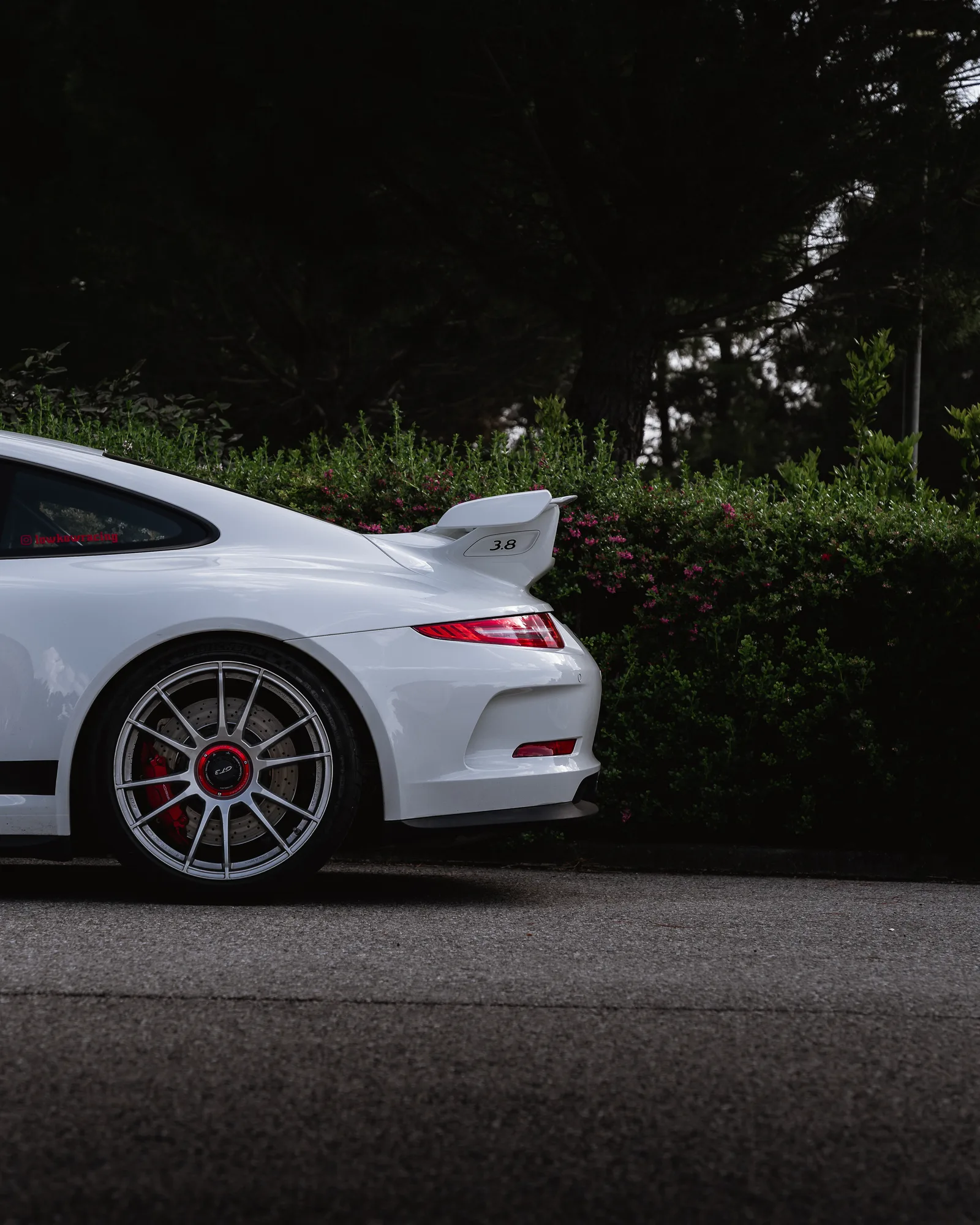 OZ Racing Ultraleggera HLT CL on Porsche 911 991.1, photo 3