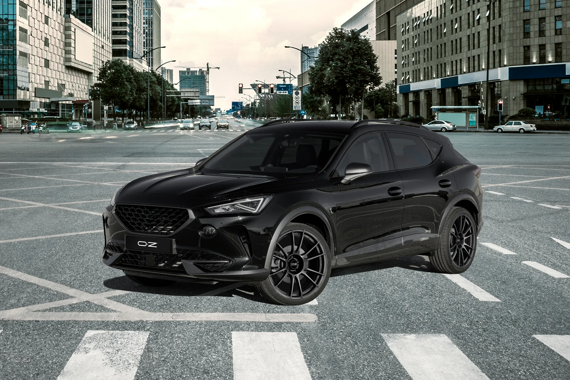 OZ Racing Ultraleggera HLT on Cupra Formentor 1st gen (KM)
