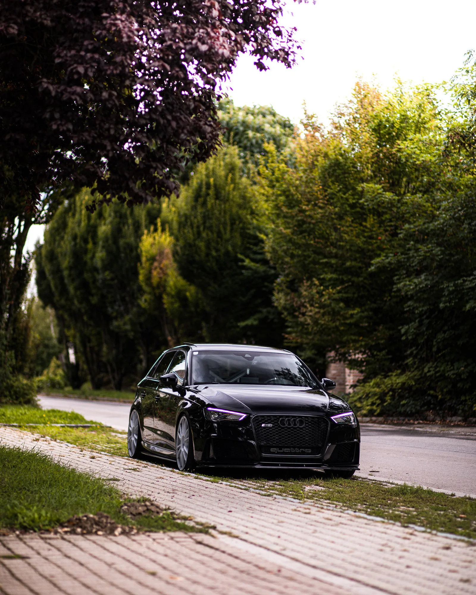 OZ Racing Ultraleggera HLT on Audi RS 3 8V.1, photo 9
