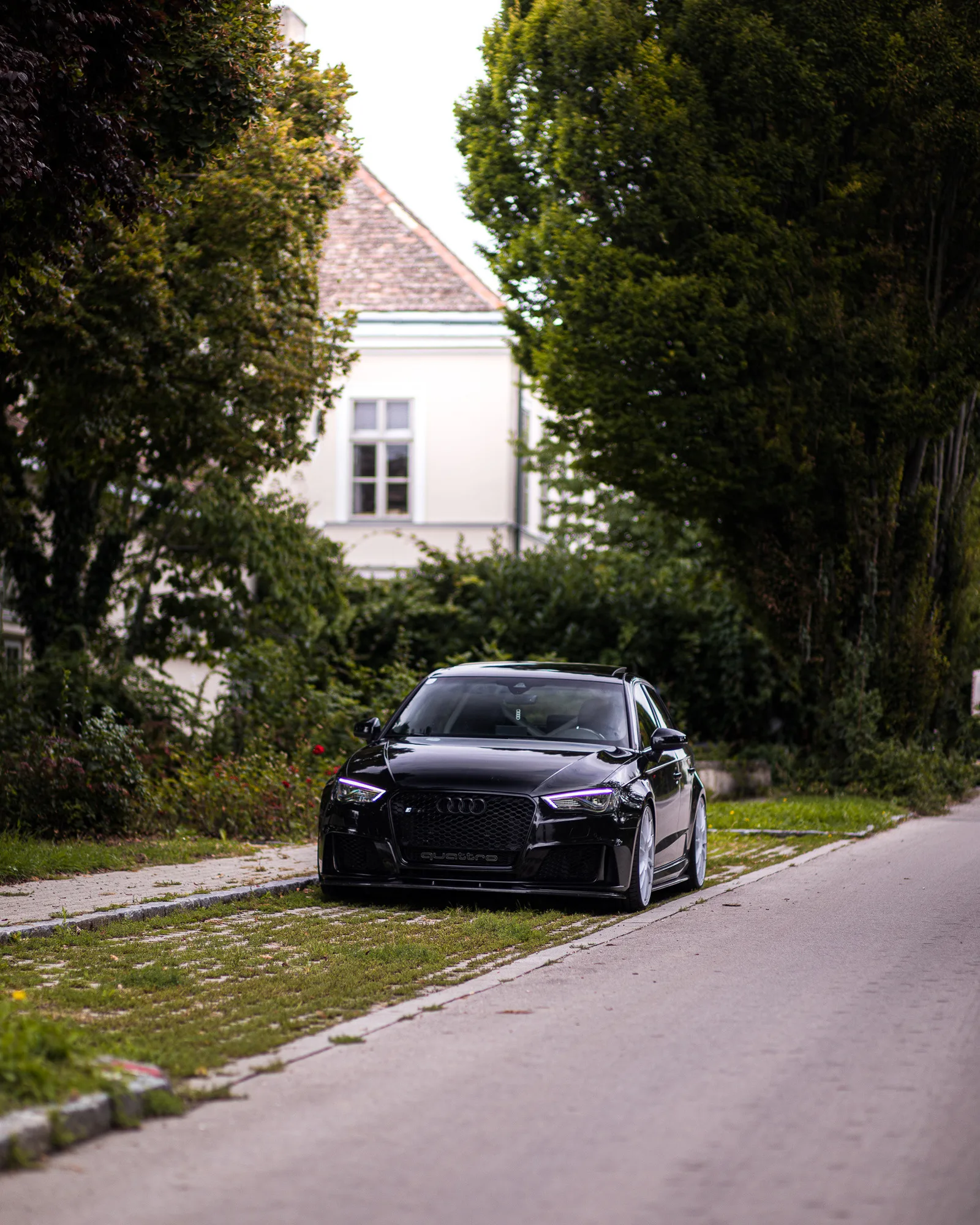 OZ Racing Ultraleggera HLT on Audi RS 3 8V.1, photo 4