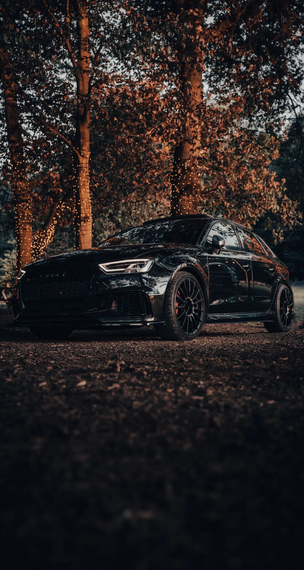 OZ Racing Ultraleggera HLT on Audi RS 3 8V.2, photo 6