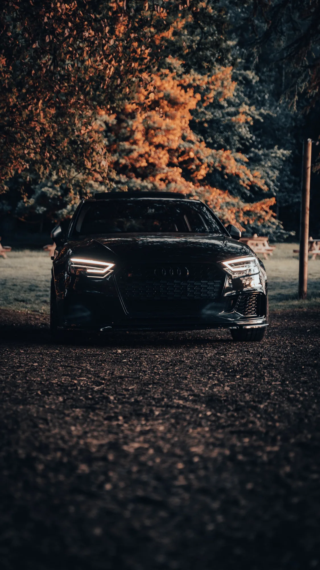 OZ Racing Ultraleggera HLT on Audi RS 3 8V.2, photo 7