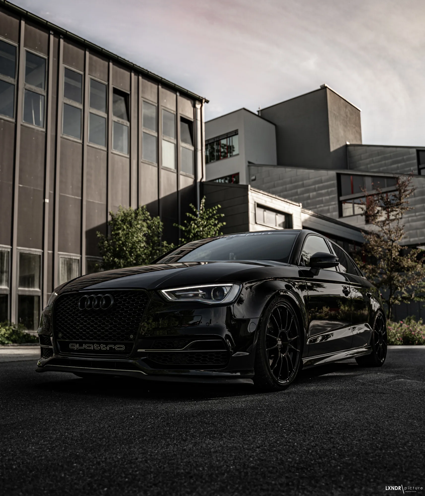 OZ Racing Ultraleggera HLT on Audi S3 8V.1, photo 8