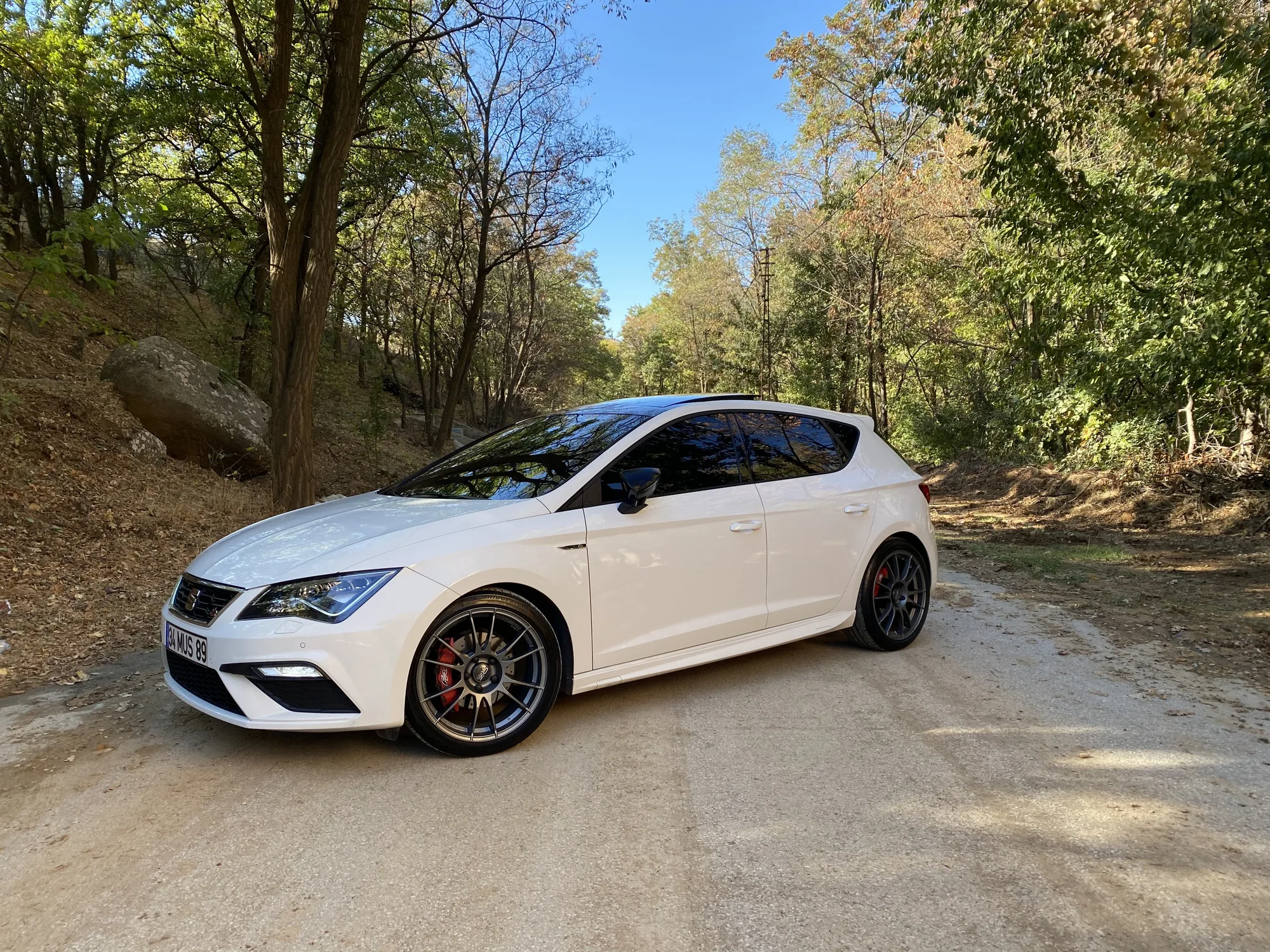 OZ Racing Ultraleggera on Seat Leon 3rd gen (5F)