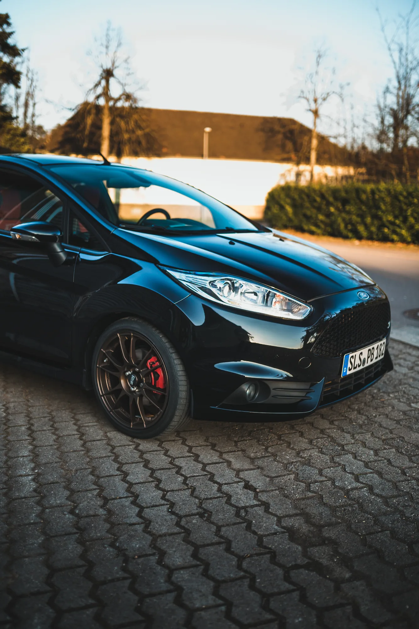 OZ Racing Ultraleggera on Ford Fiesta Mk7.1, photo 4