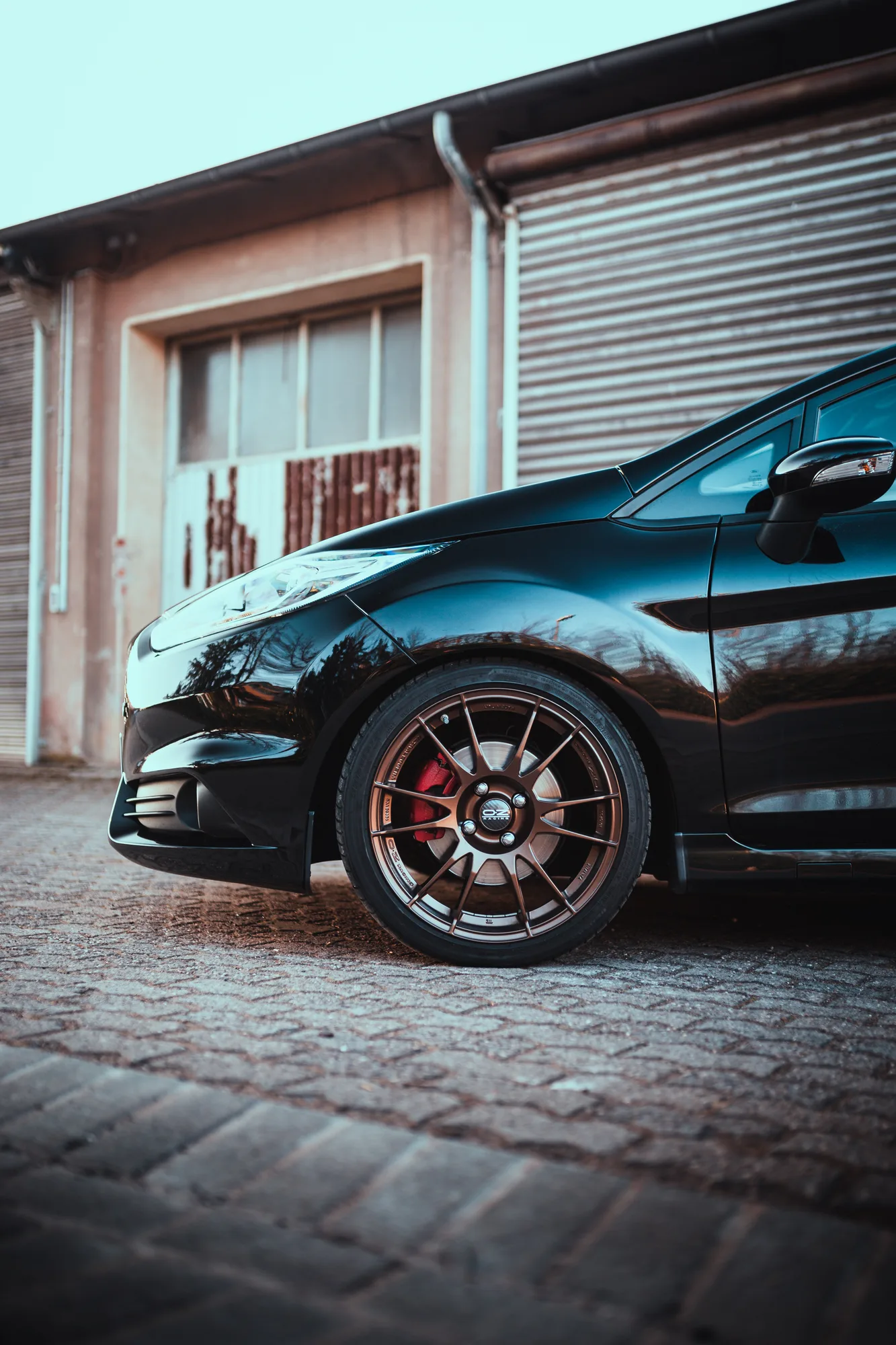 OZ Racing Ultraleggera on Ford Fiesta Mk7.1, photo 12