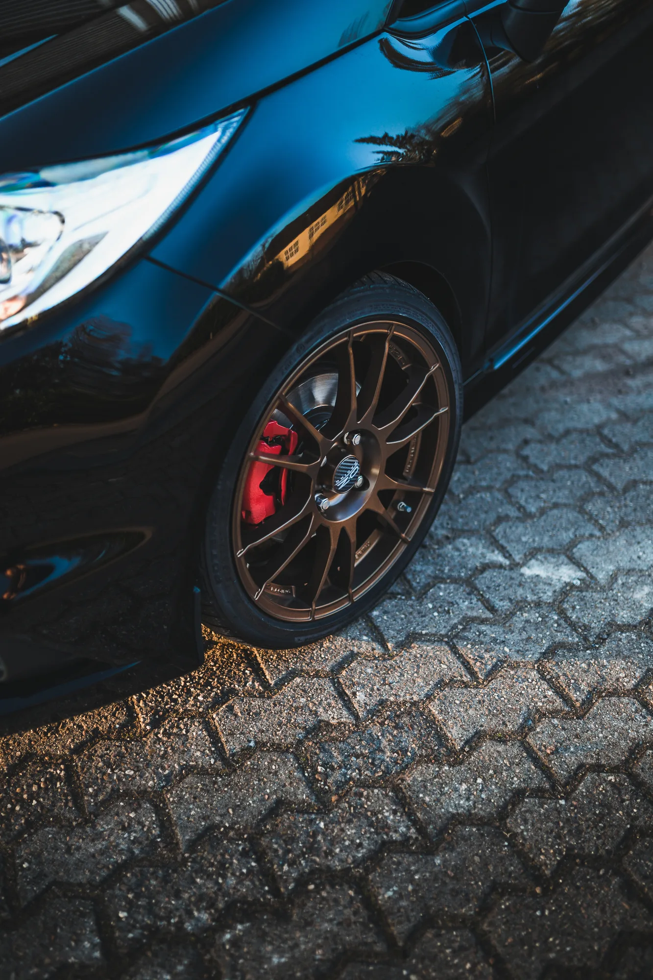 OZ Racing Ultraleggera on Ford Fiesta Mk7.1, photo 5
