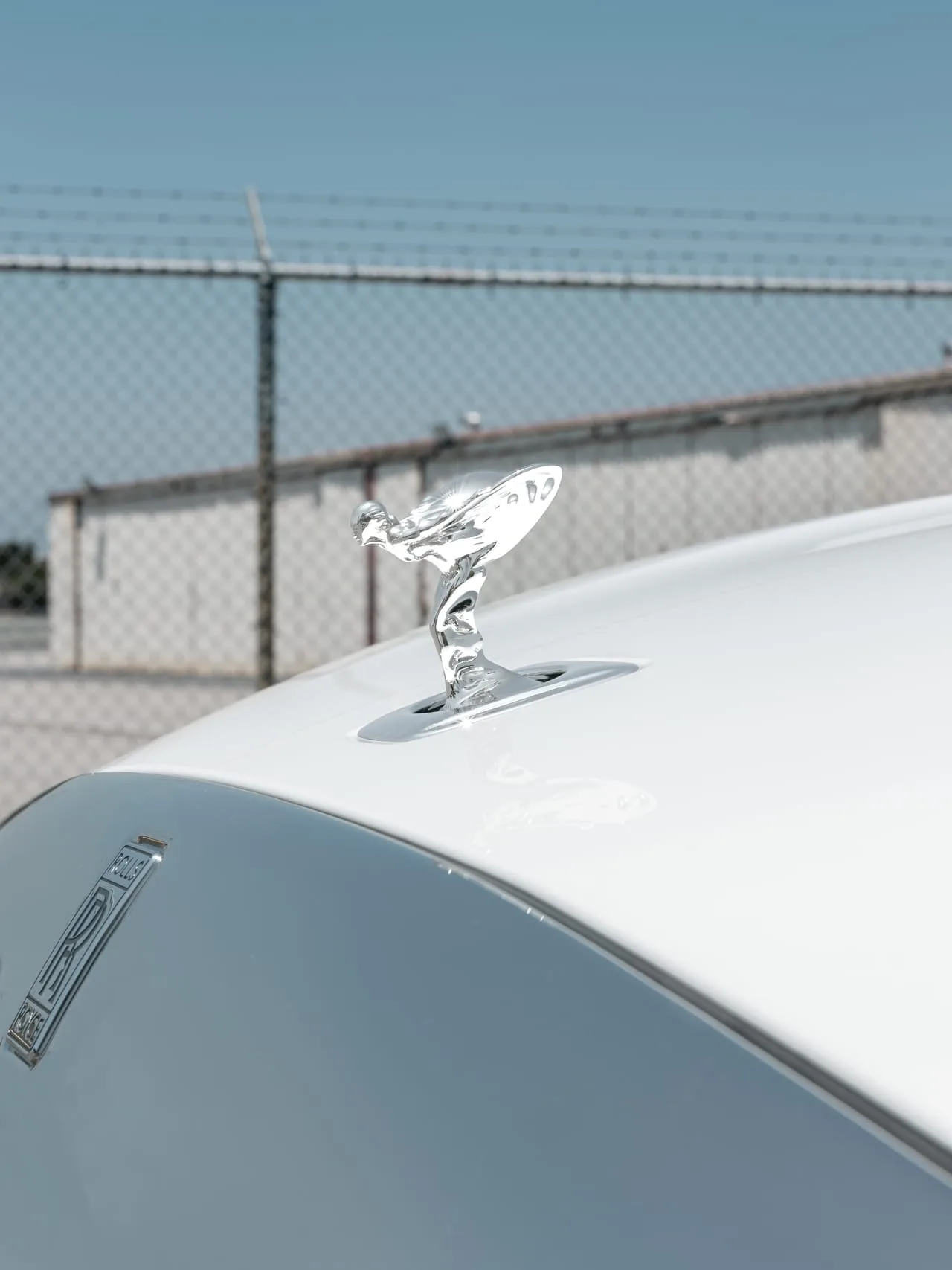 Savini SL8 on Rolls-Royce Spectre, photo 7