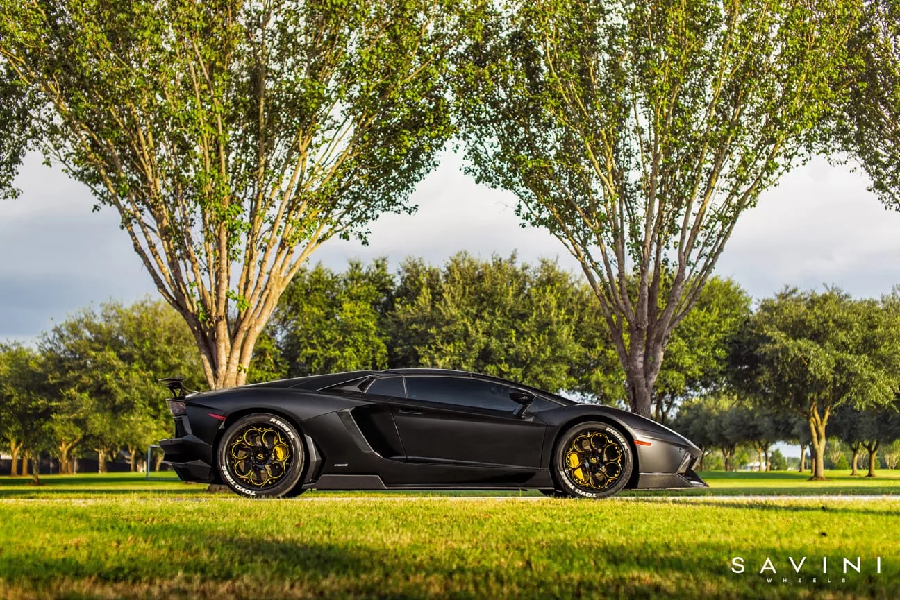Savini SV69