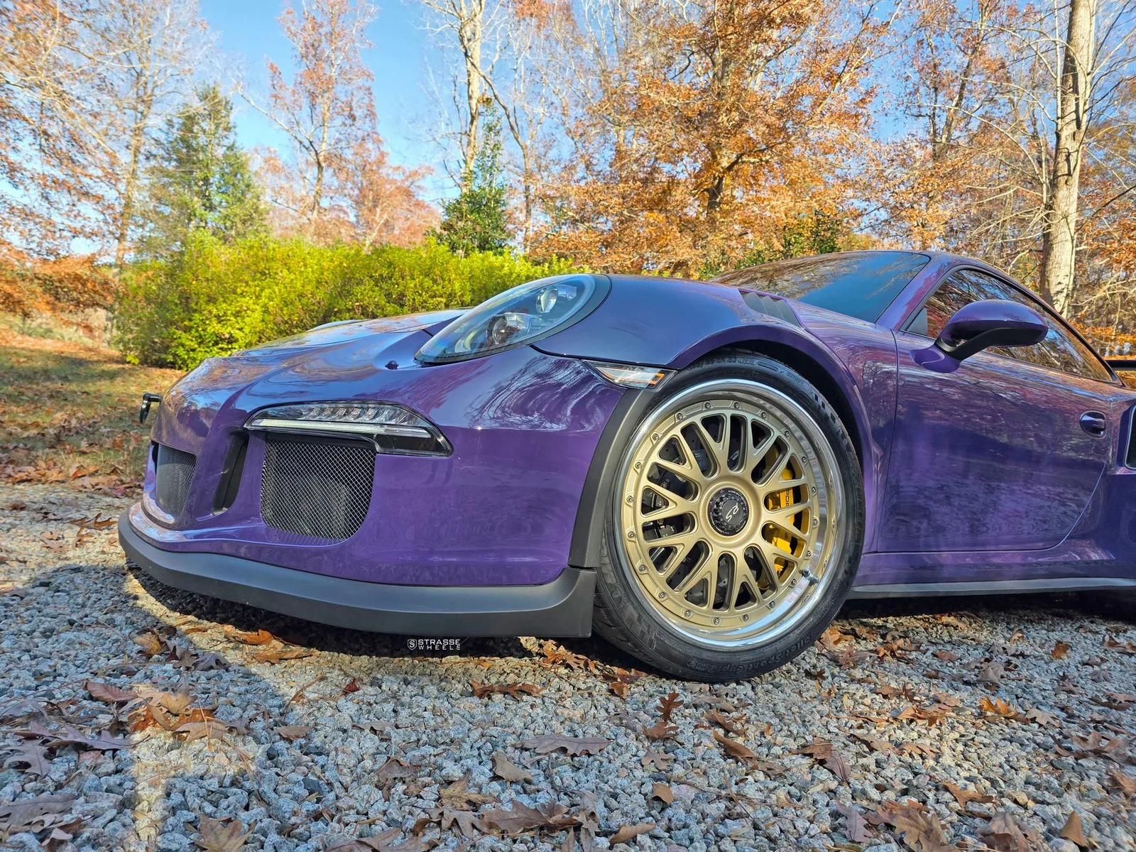 Strasse SM10 Circuit Series on Porsche 911 991.1, photo 6