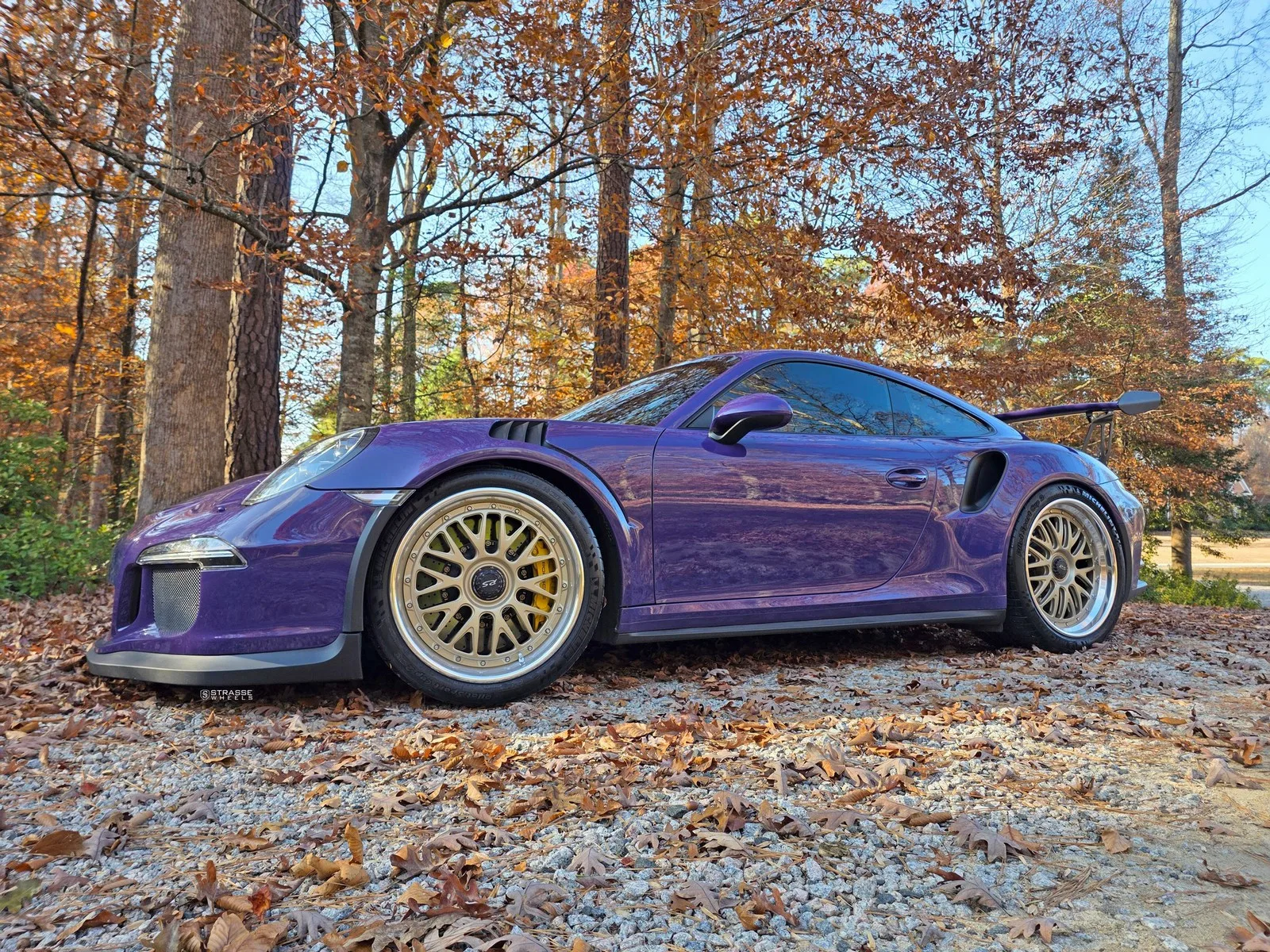 Strasse SM10 Circuit Series on Porsche 911 991.1, photo 11