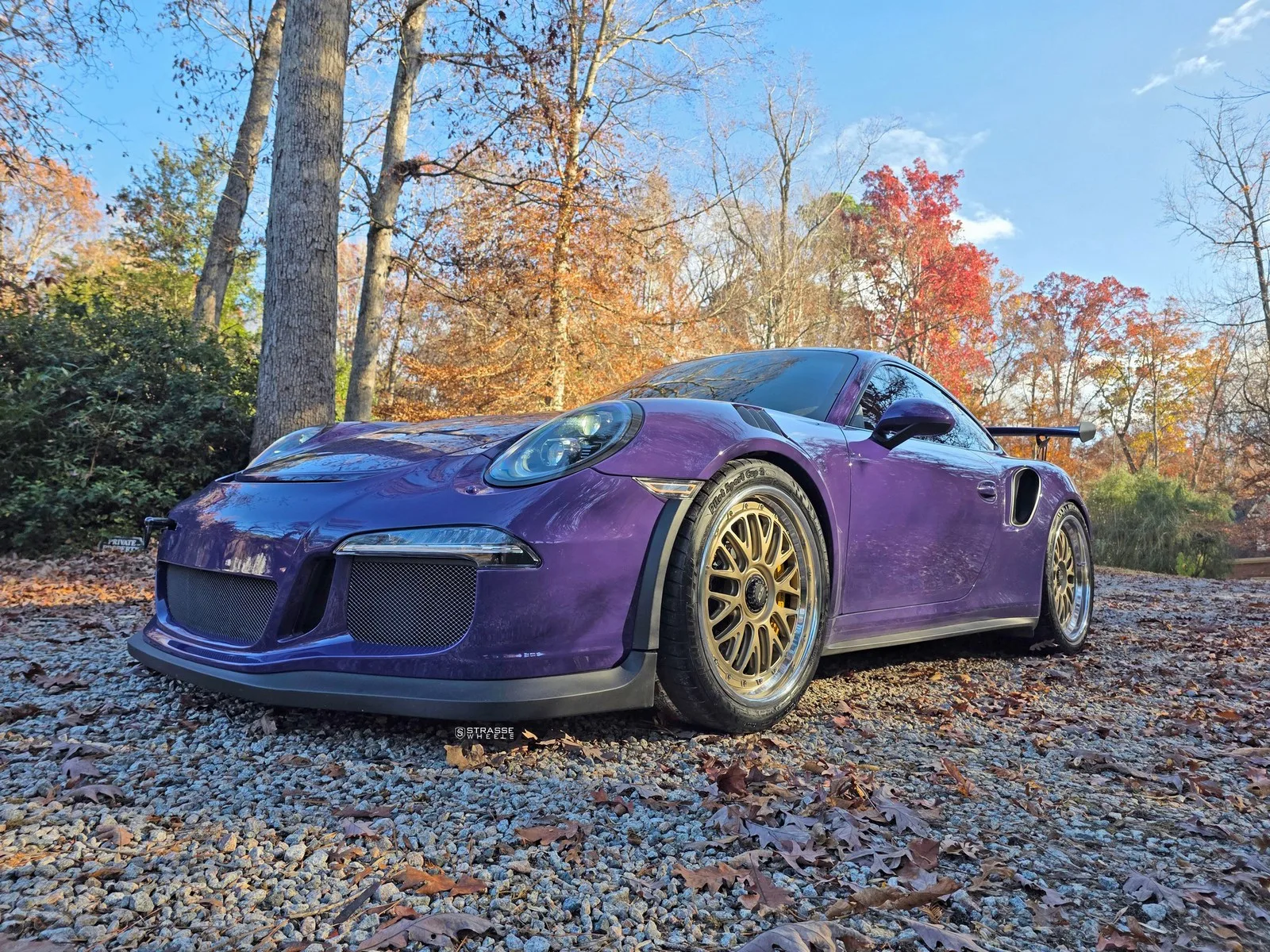 Strasse SM10 Circuit Series on Porsche 911 991.1, photo 12