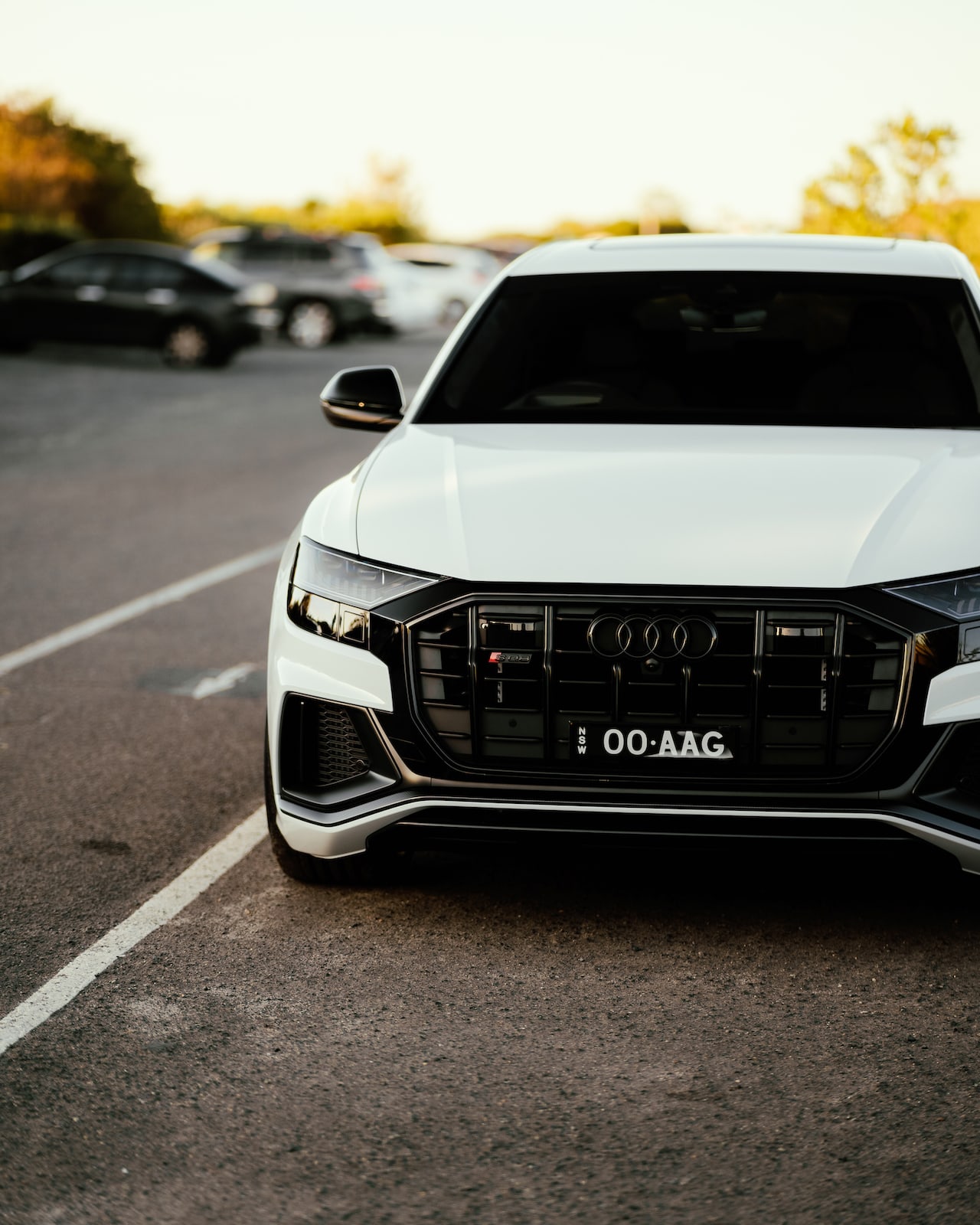 Strasse SV15FF Deep Concave Duoblock on Audi Q8 4M.1, photo 11