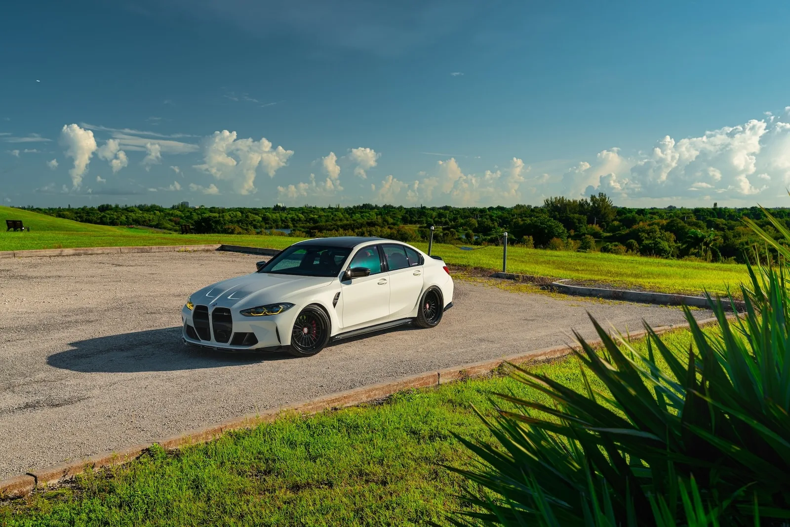 Strasse SV20 Track Series on BMW M3 G80.1, photo 6